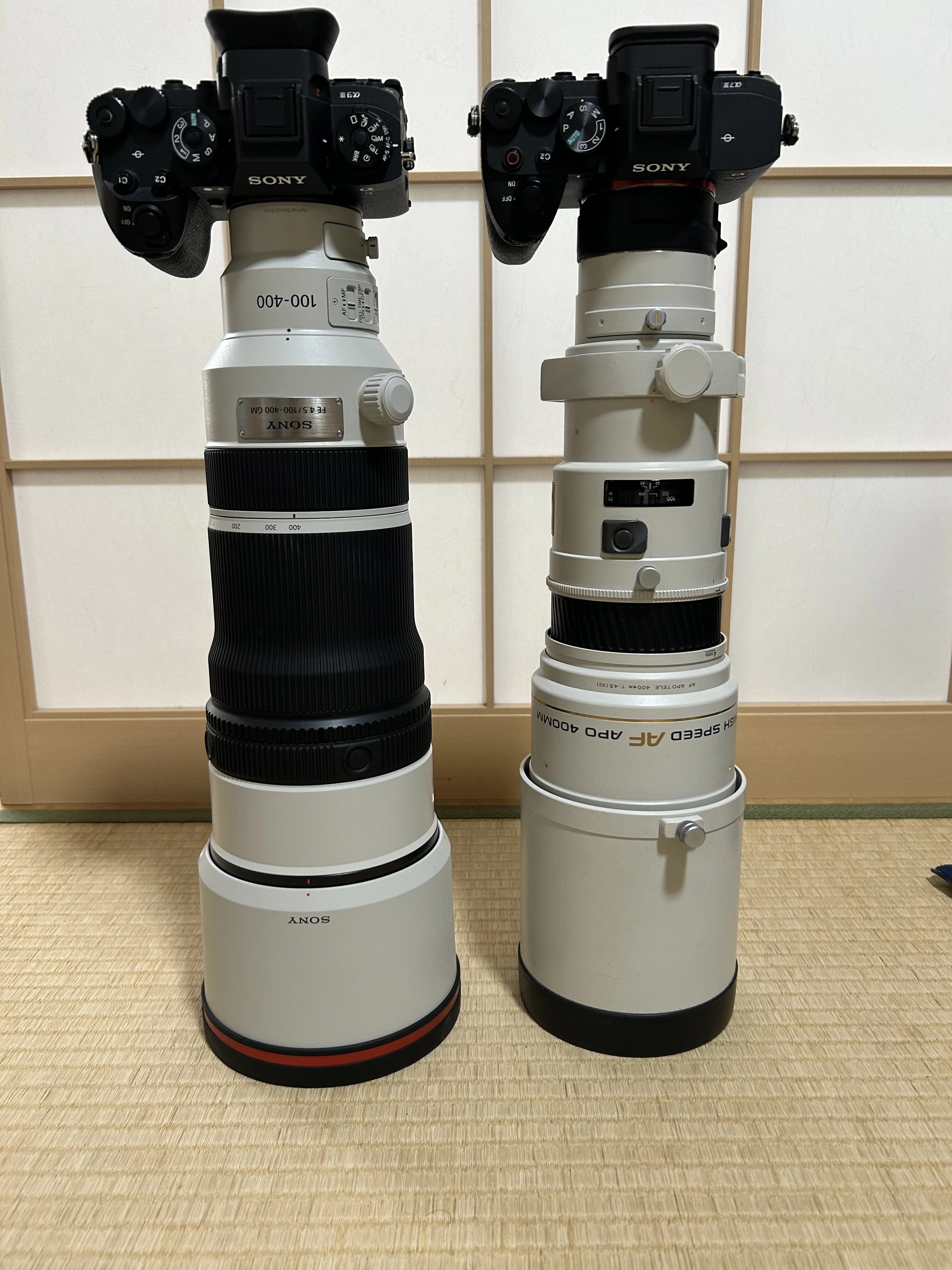 FE 100-400mm F4.5 GM OSSで野鳥撮影 飛翔編｜TOLIMAN Hondα