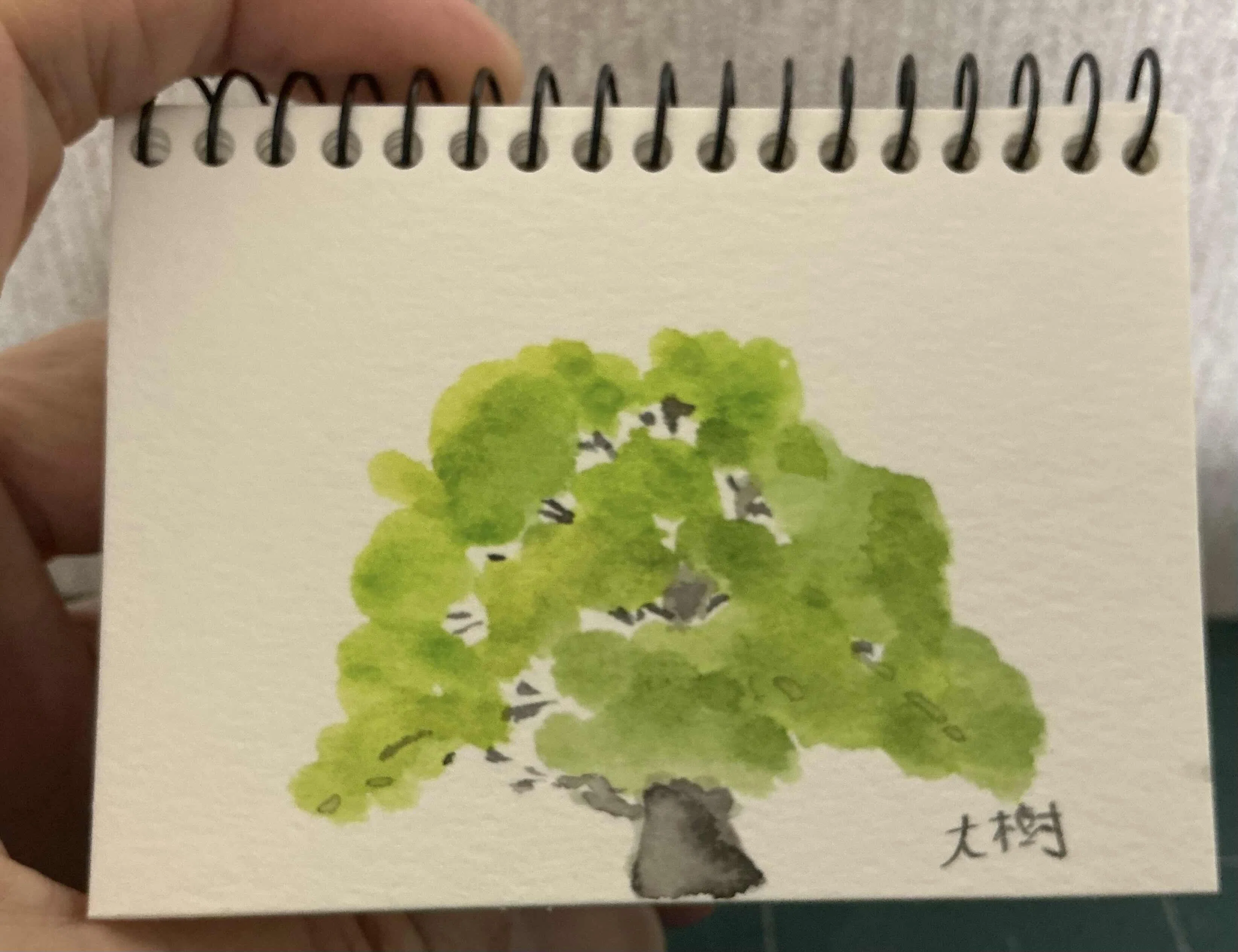大樹」を2点描きました｜水彩スケッチ帖