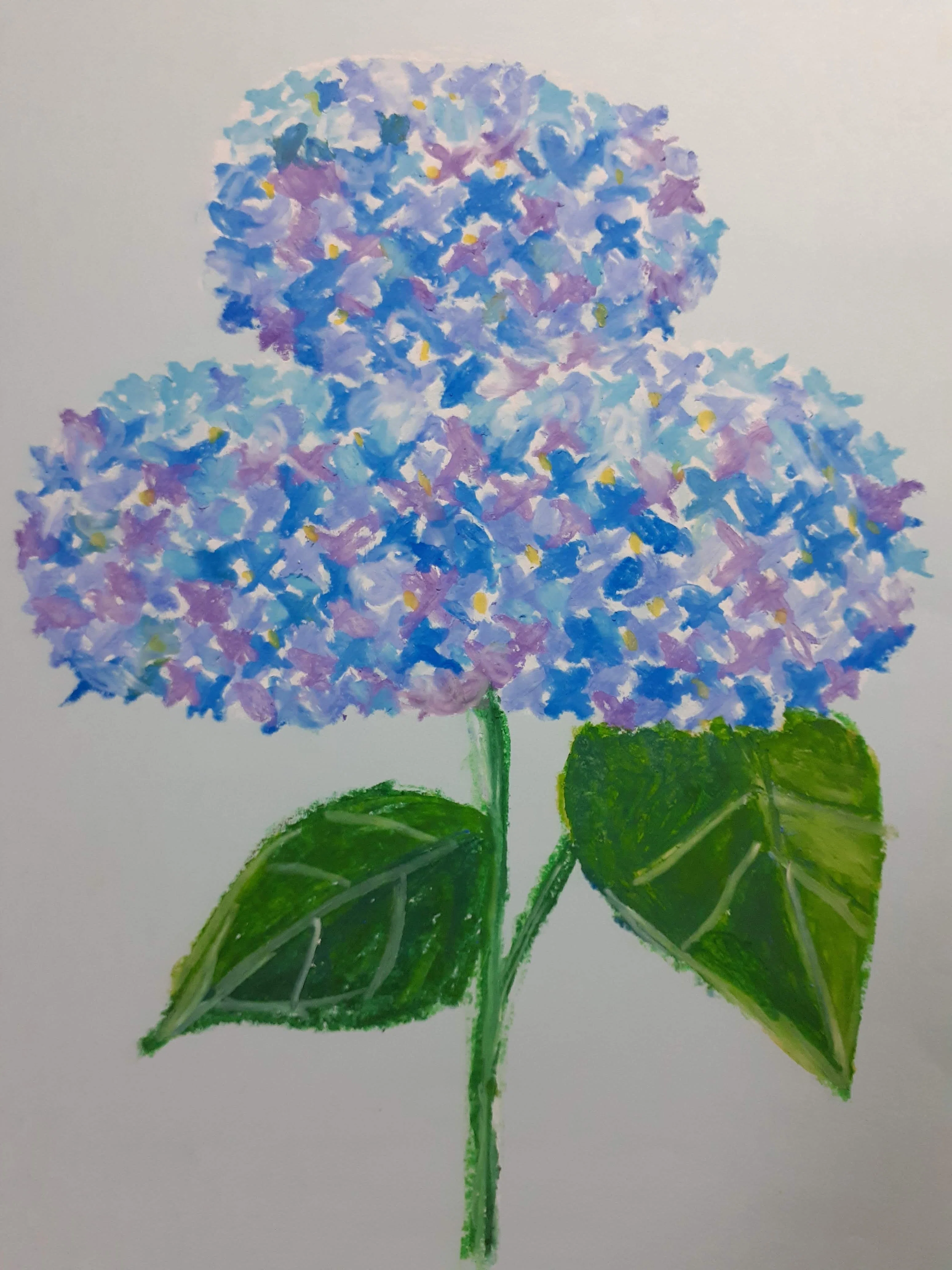 紫陽花の季節｜立待月