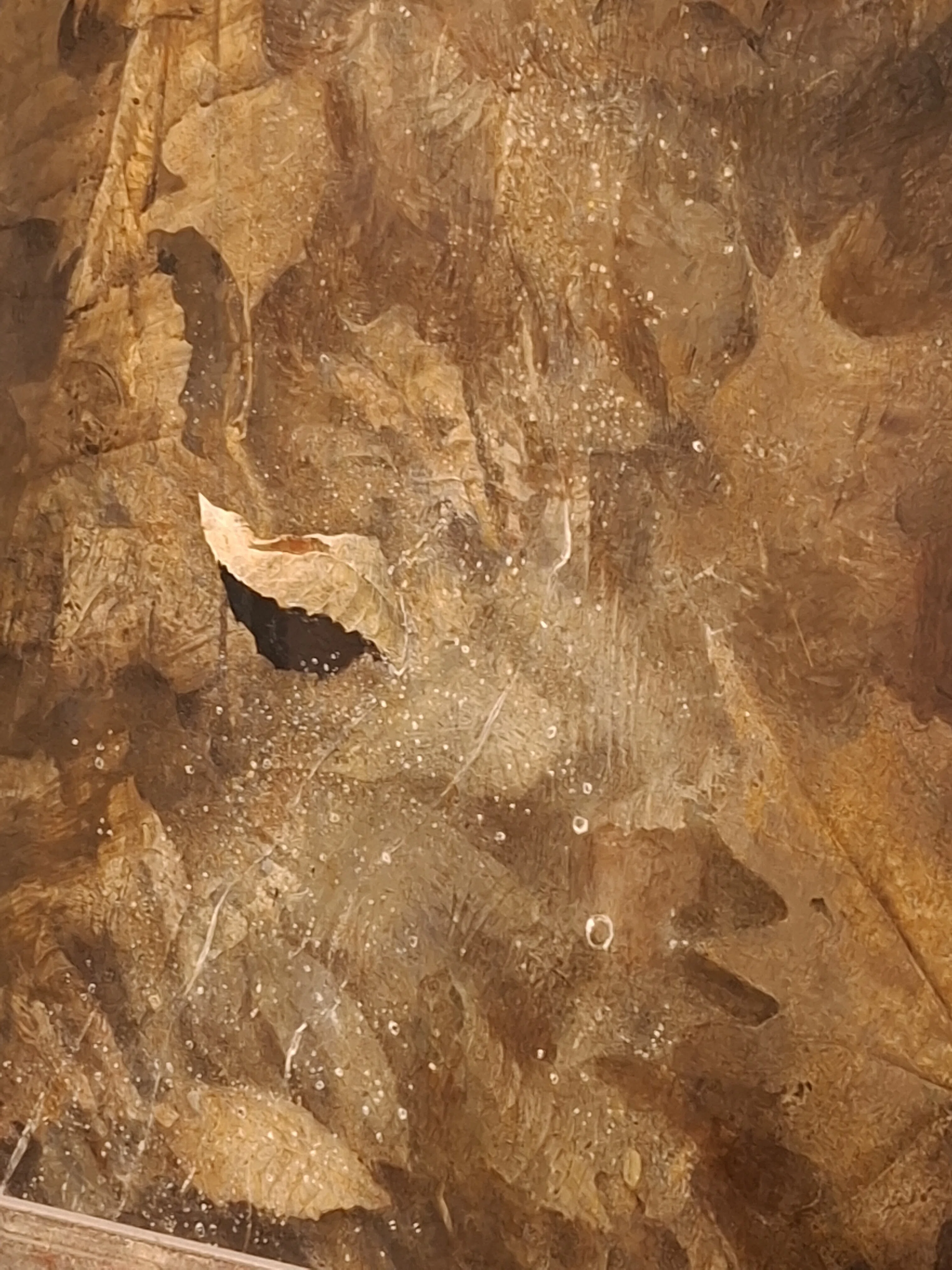 31 Resonating Time / 《Thin Ice》 / Andrew Wyeth Exhibition