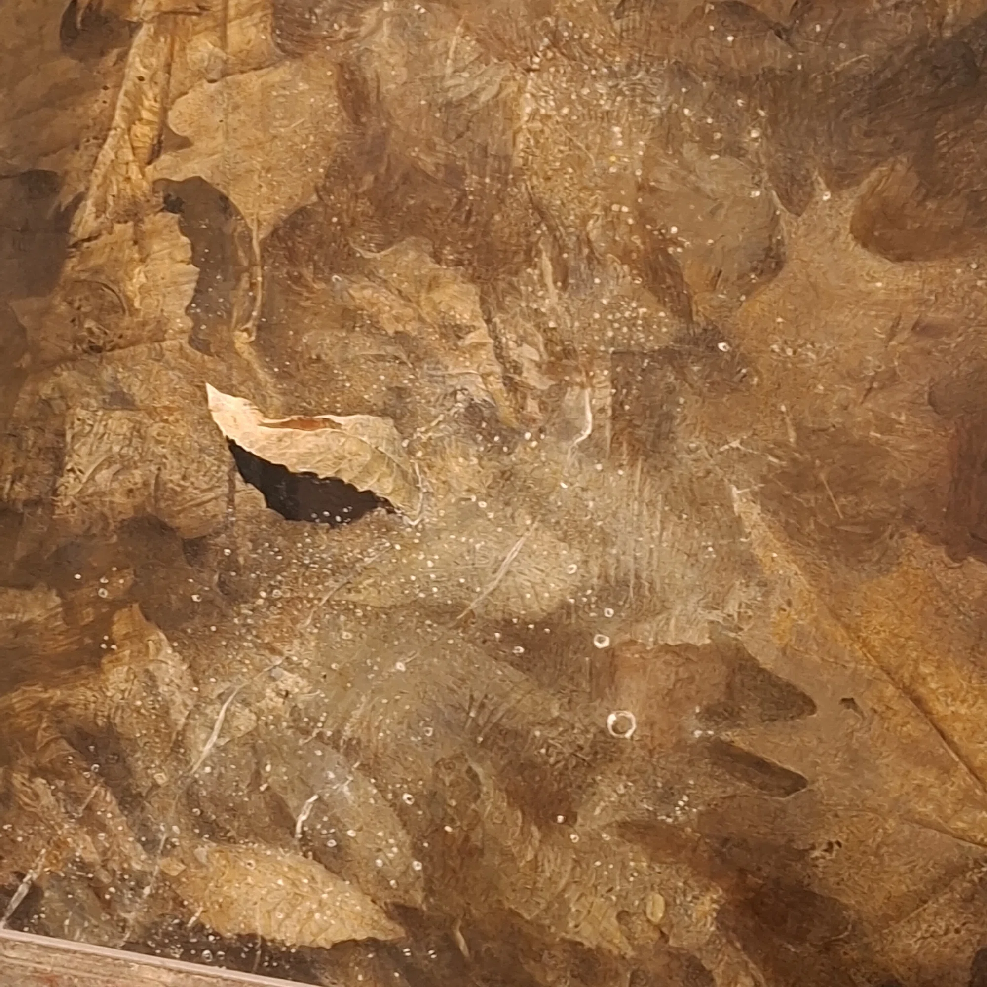 31 Resonating Time... / 《Thin Ice》 / Andrew Wyeth Exhibition 
