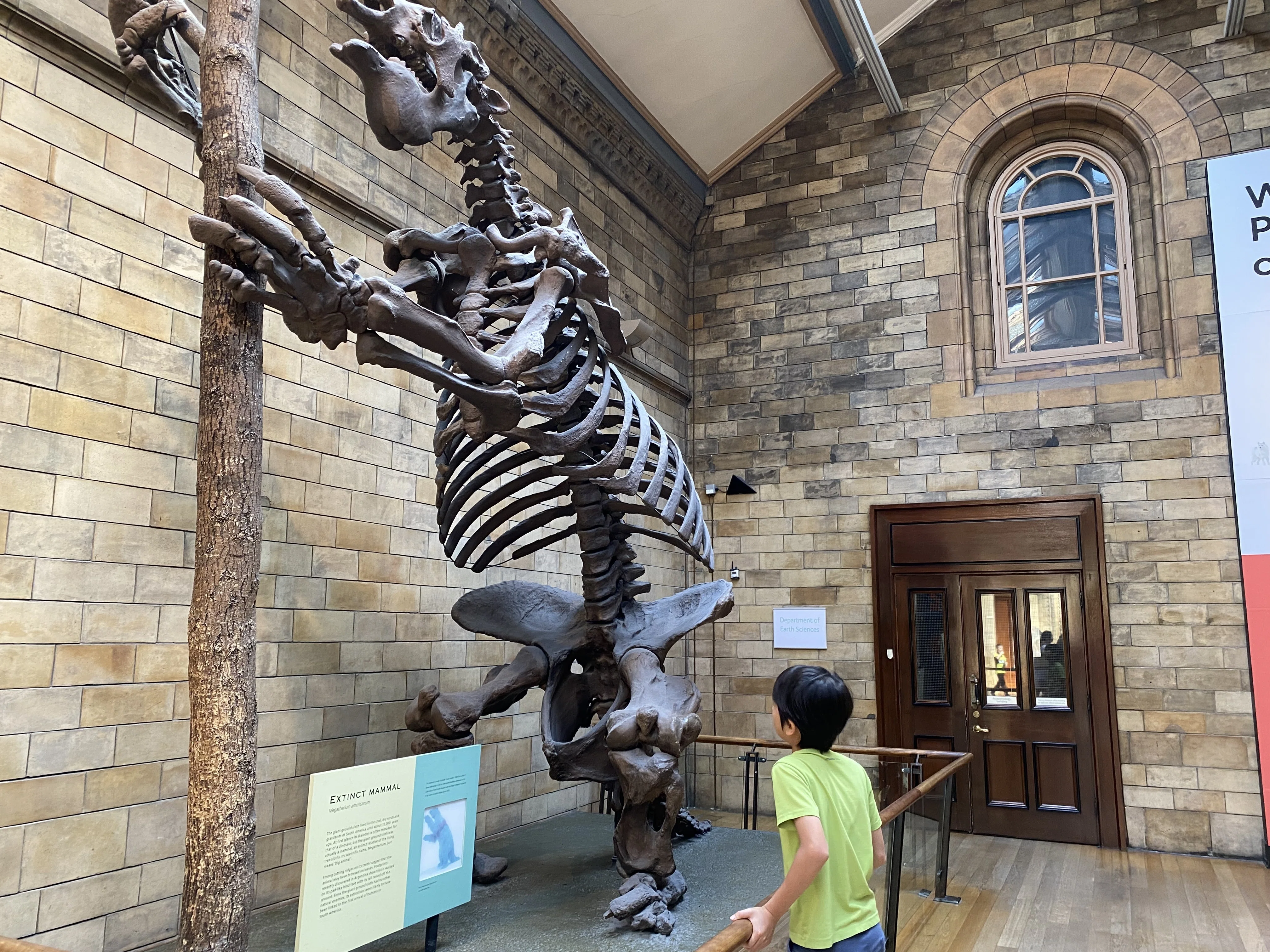 ロンドンでサイエンス旅。まるで大聖堂のような自然史博物館と