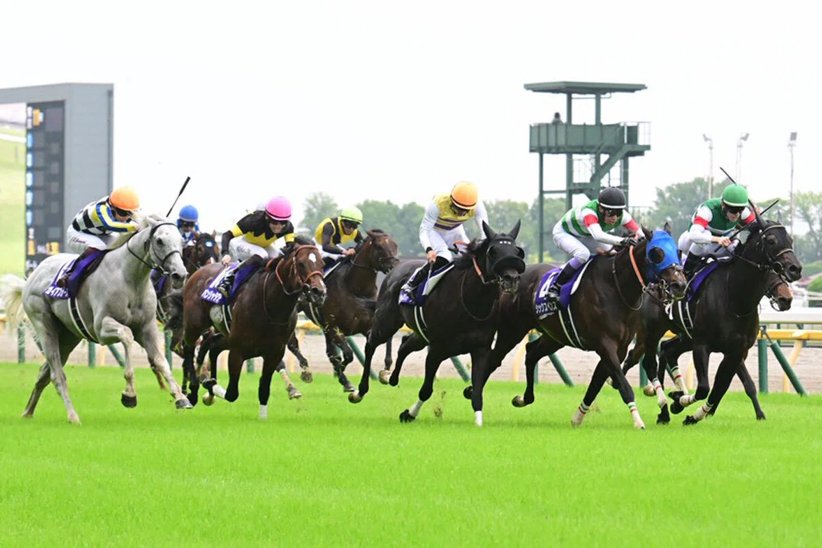 安田記念（GⅠ）回顧】推奨馬ガイアフォース2着!! ～エット…(>_<)｜Haya