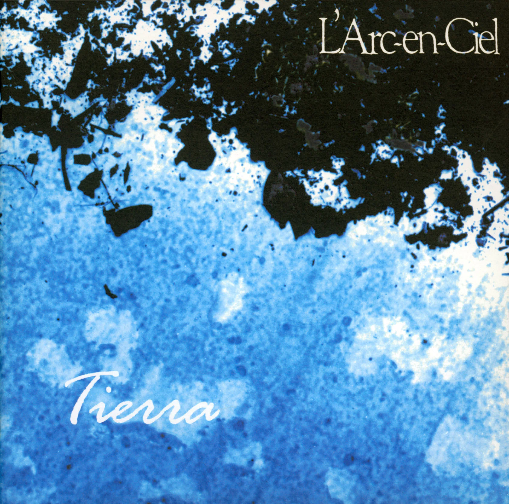 L'Arc～en～Ciel 好きなアルバムランキング｜新田