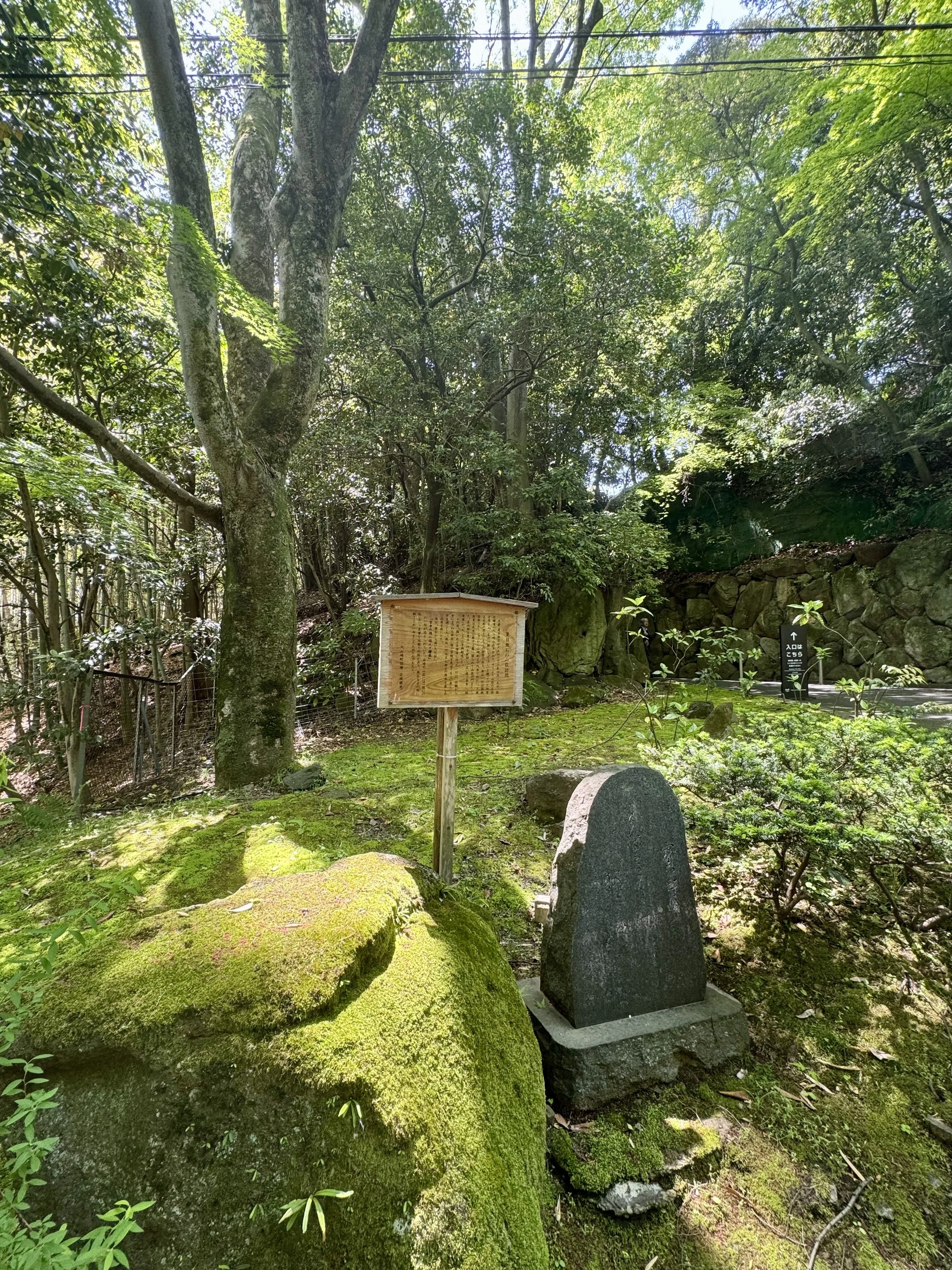 国宝や庭園が楽しめる大阪・京都の3つの素敵美術館｜森栖みら/Mira Morris