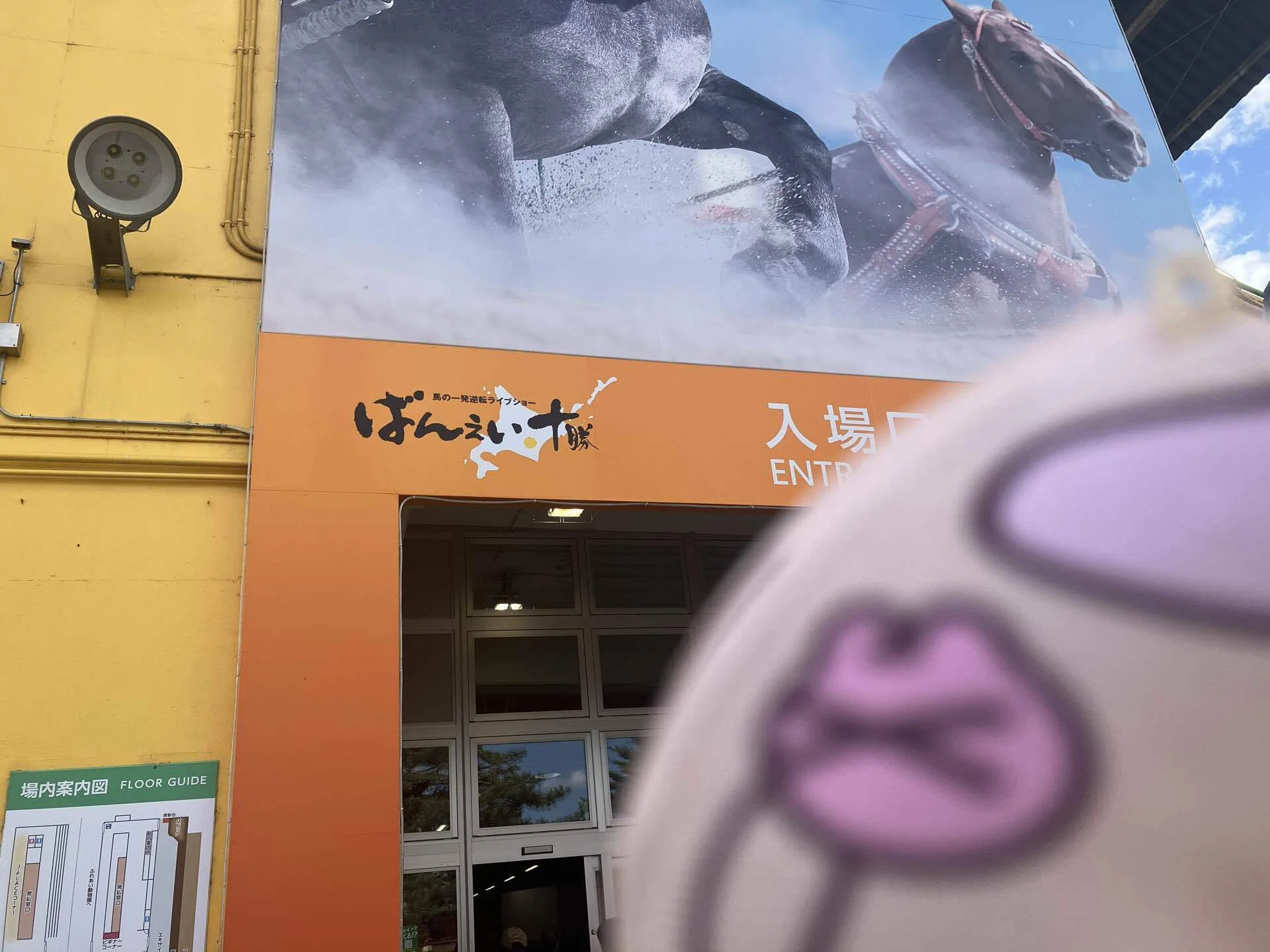 🍆直筆サインを見にあちこち行ってきた日記｜せせり