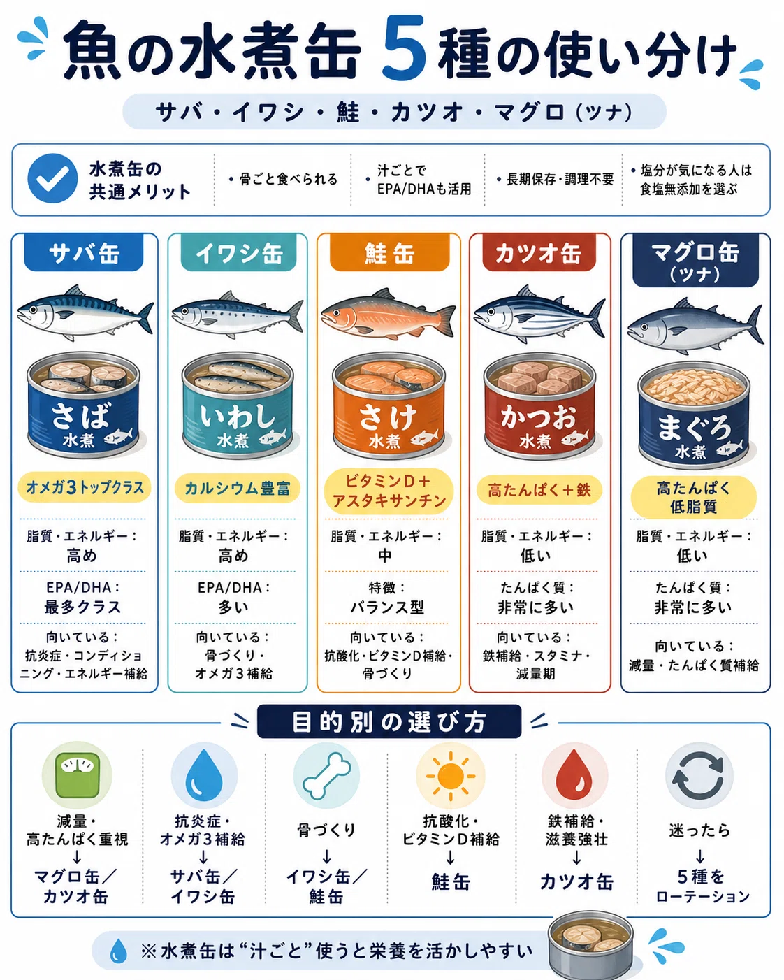 魚の水煮缶を、もっと好きになる。〜キャラクターで楽しむ栄養ガイド