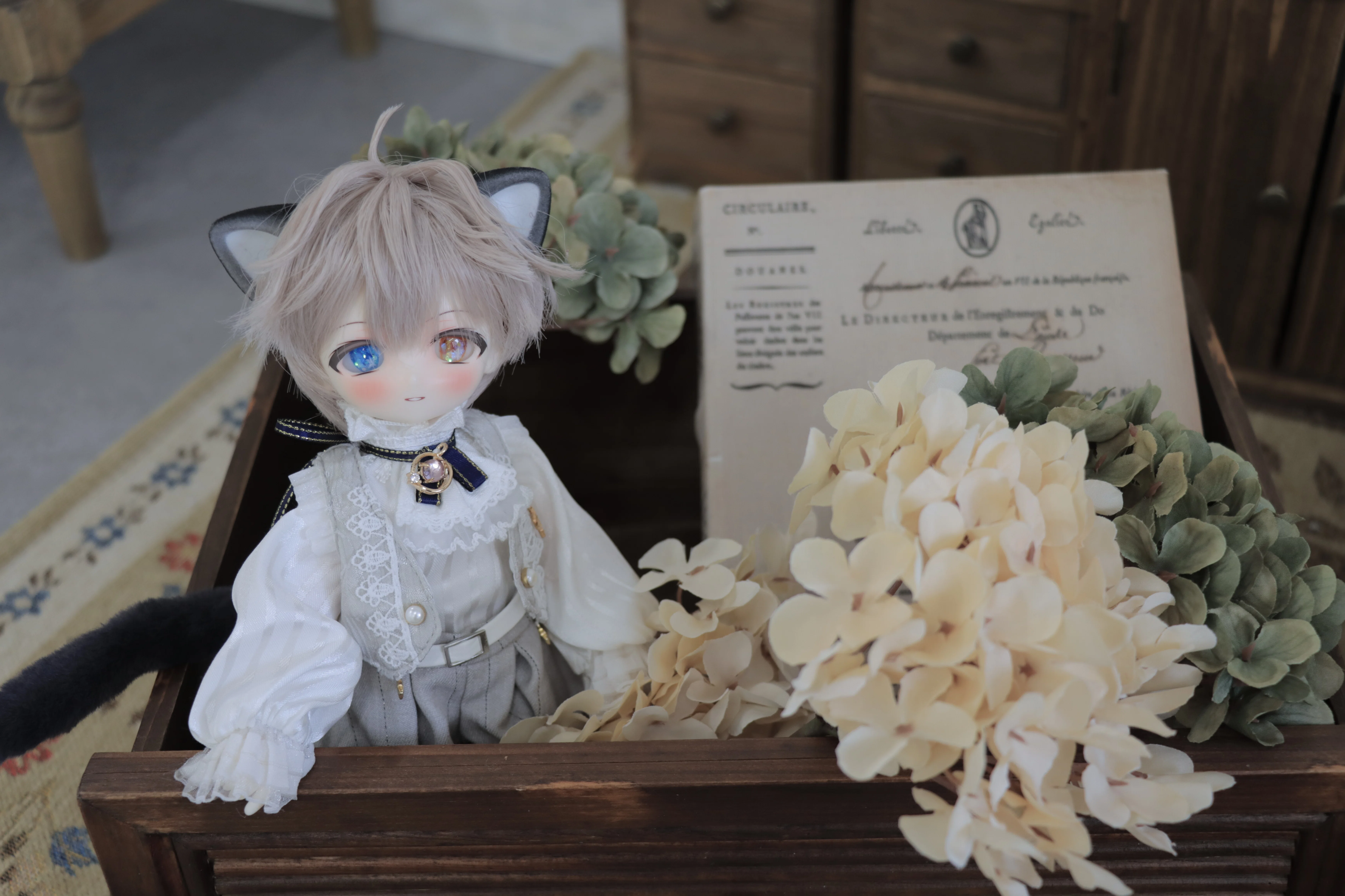 うちの子(ドール)一覧｡*｜杏梨