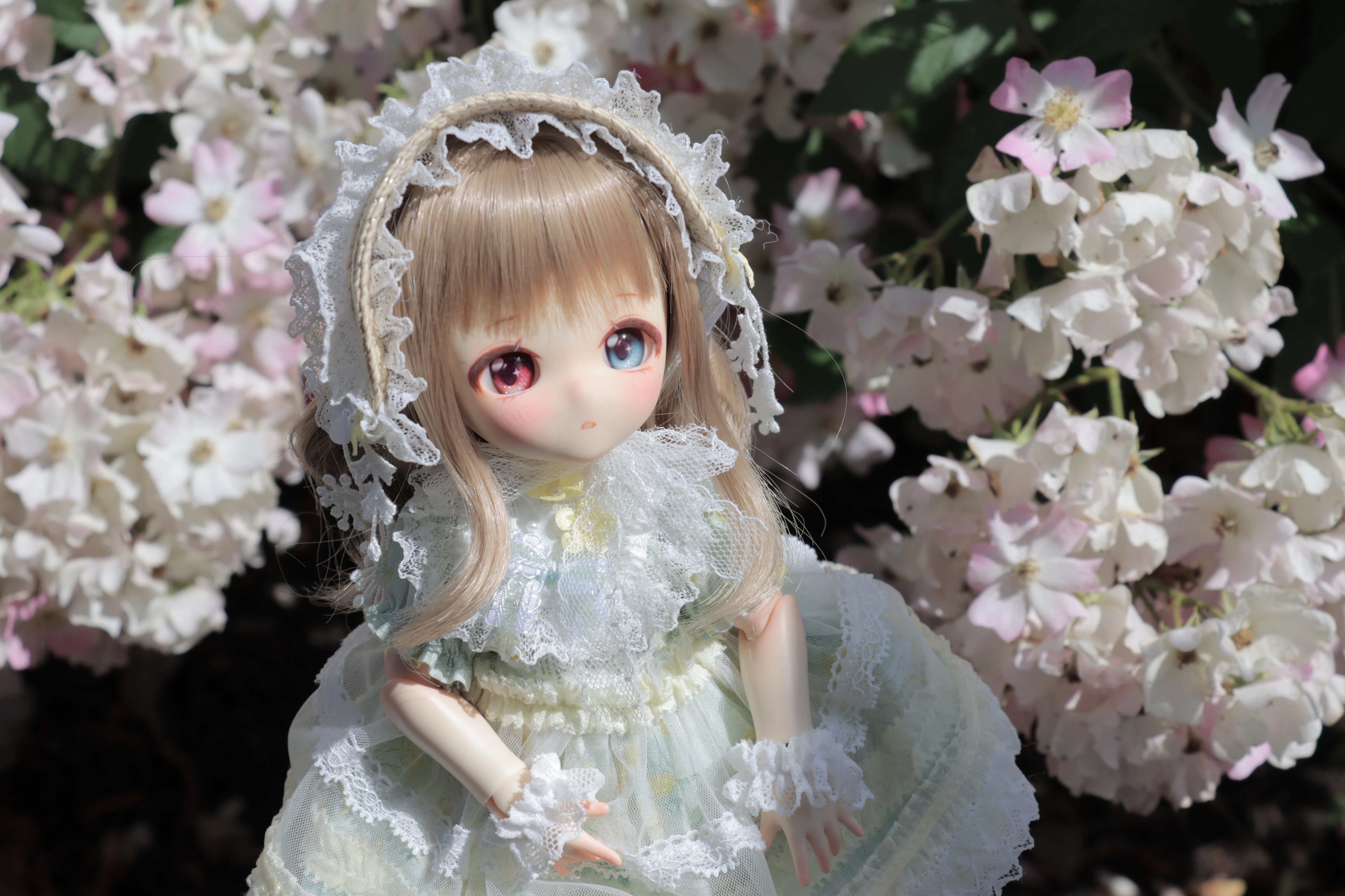 ぷち　チビドール右側茶色の子 うちの子(ドール)一覧｡*｜杏梨
