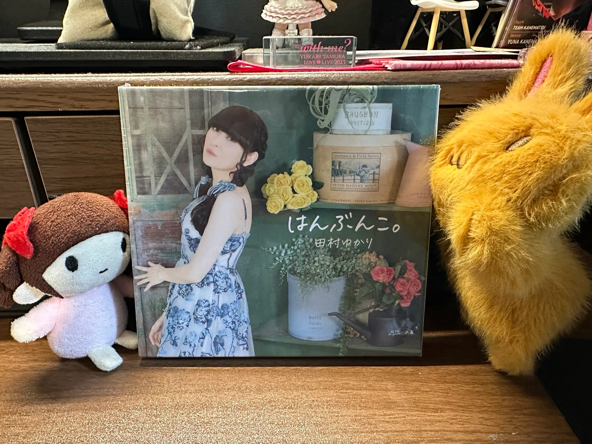 はんぶんこ。」聴いてみて～もういくつ寝ると夏ツアー開幕｜hiyukiro