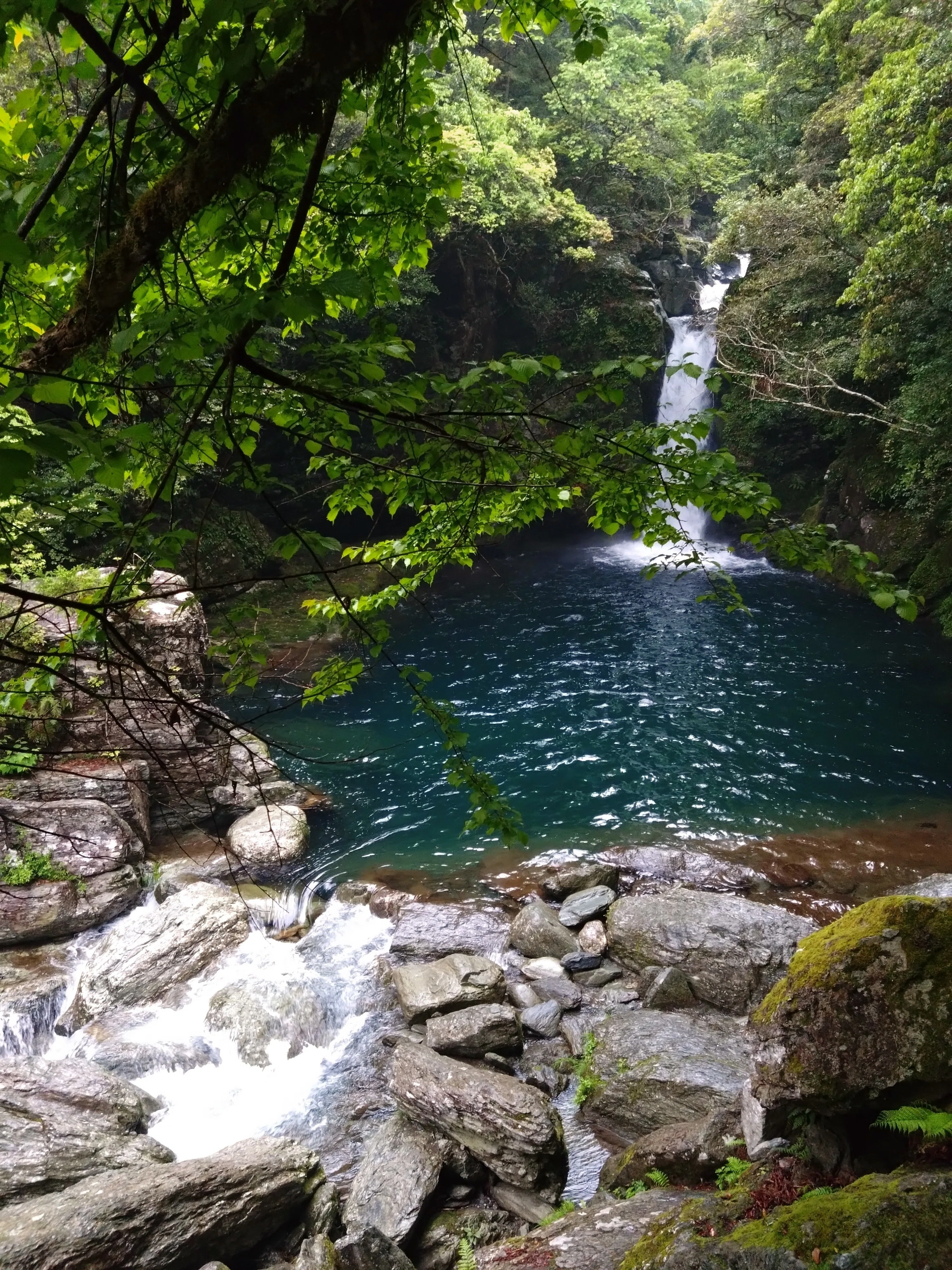 旅の風景】高知県・仁淀川ブルー（2026/06/07 #181）｜ひろさと