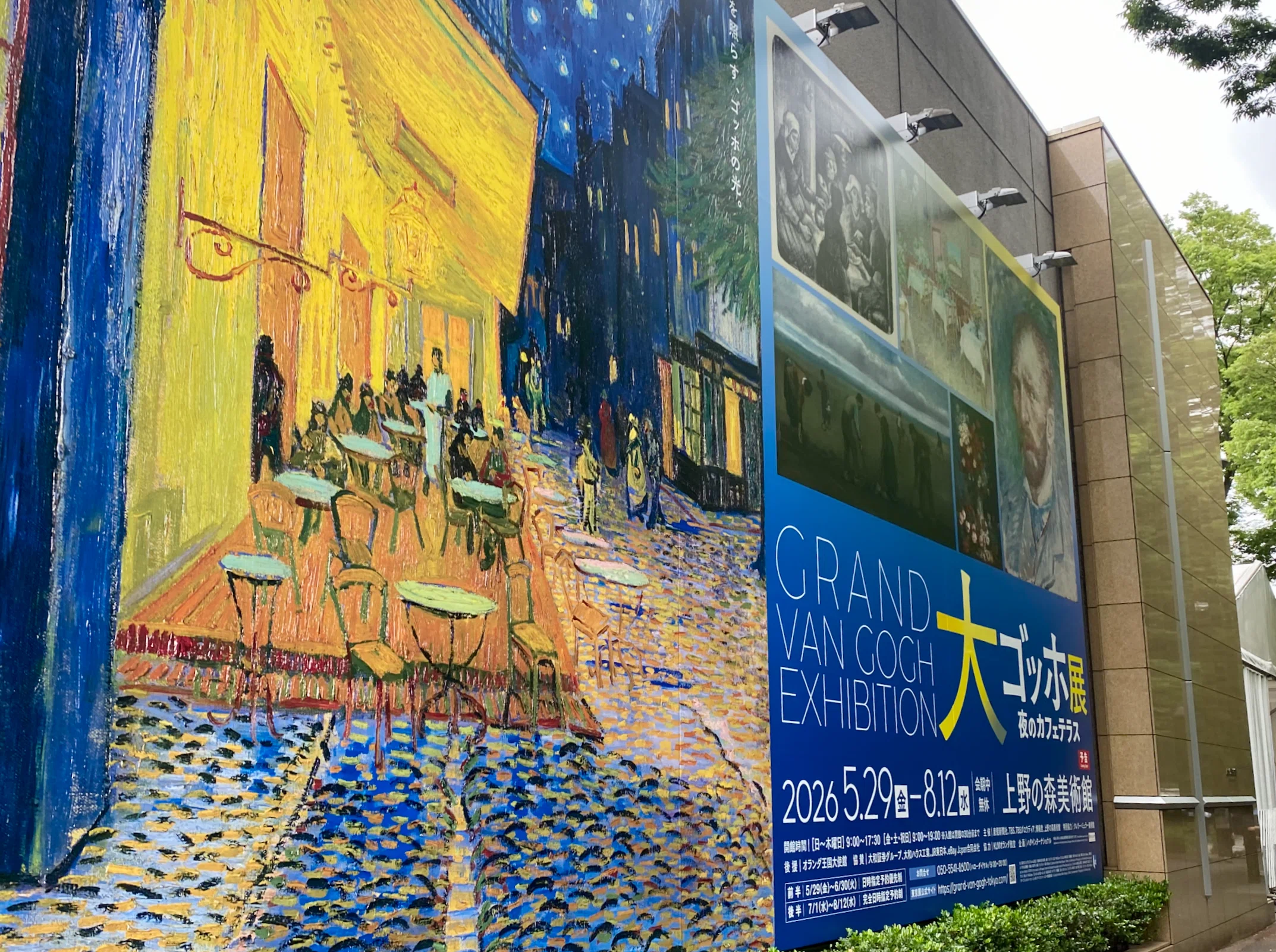 FOCUS!] Van Gogh's 