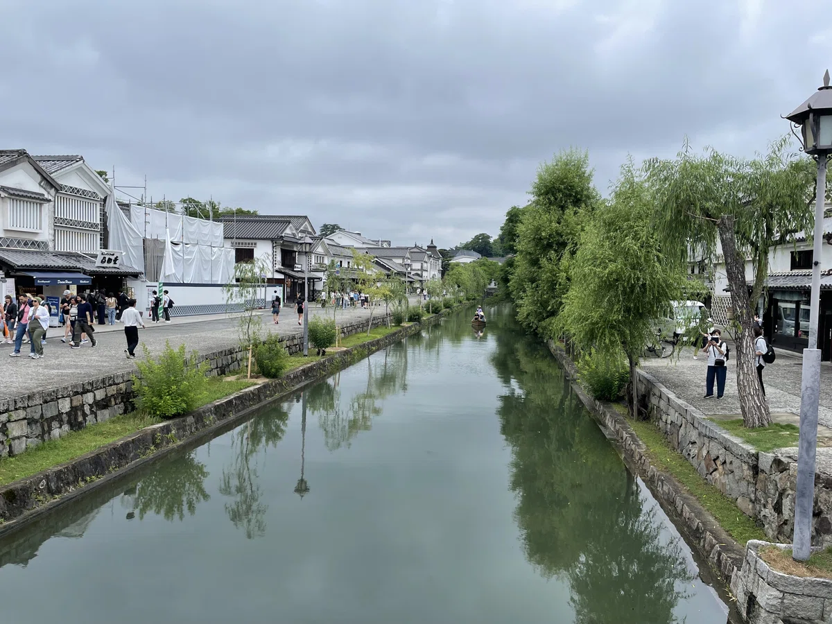 まめぞうの実家に帰ってた｜サラダ放る