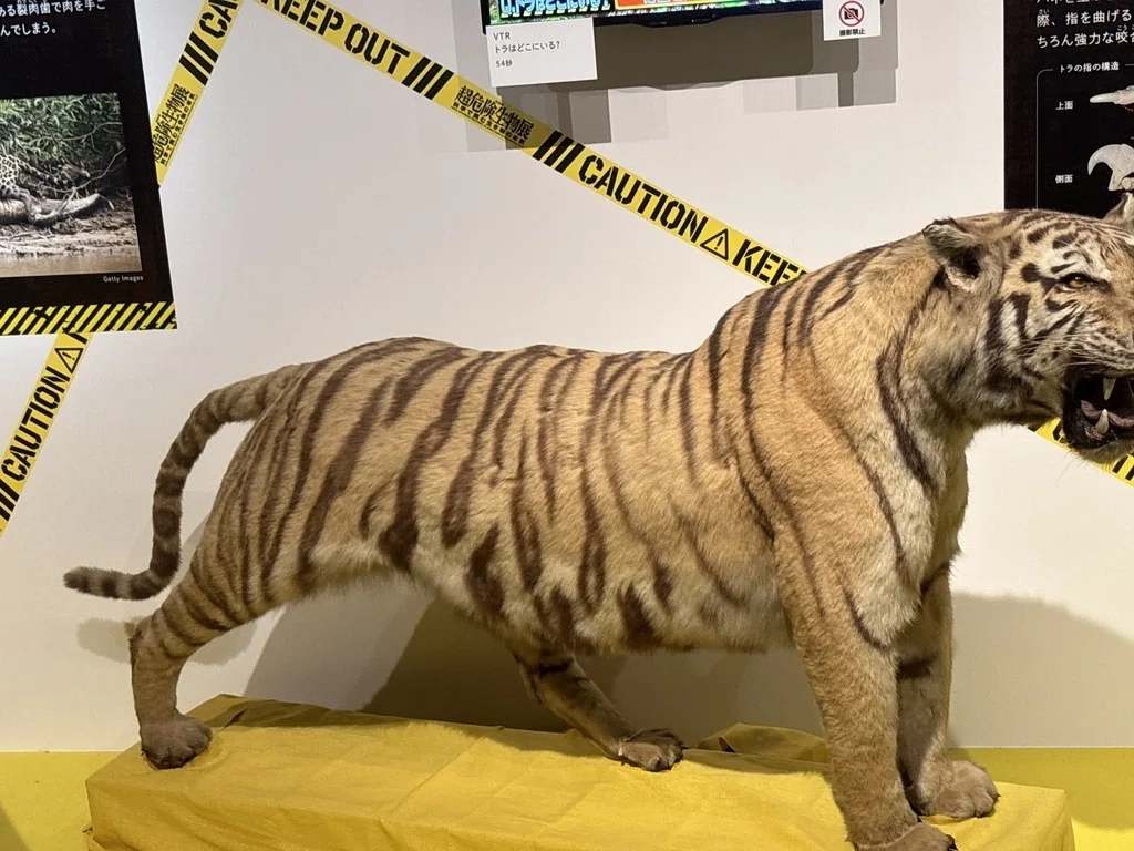 上野・国立科学博物館「超危険生物展」に行ってきました。怖いだけでは 