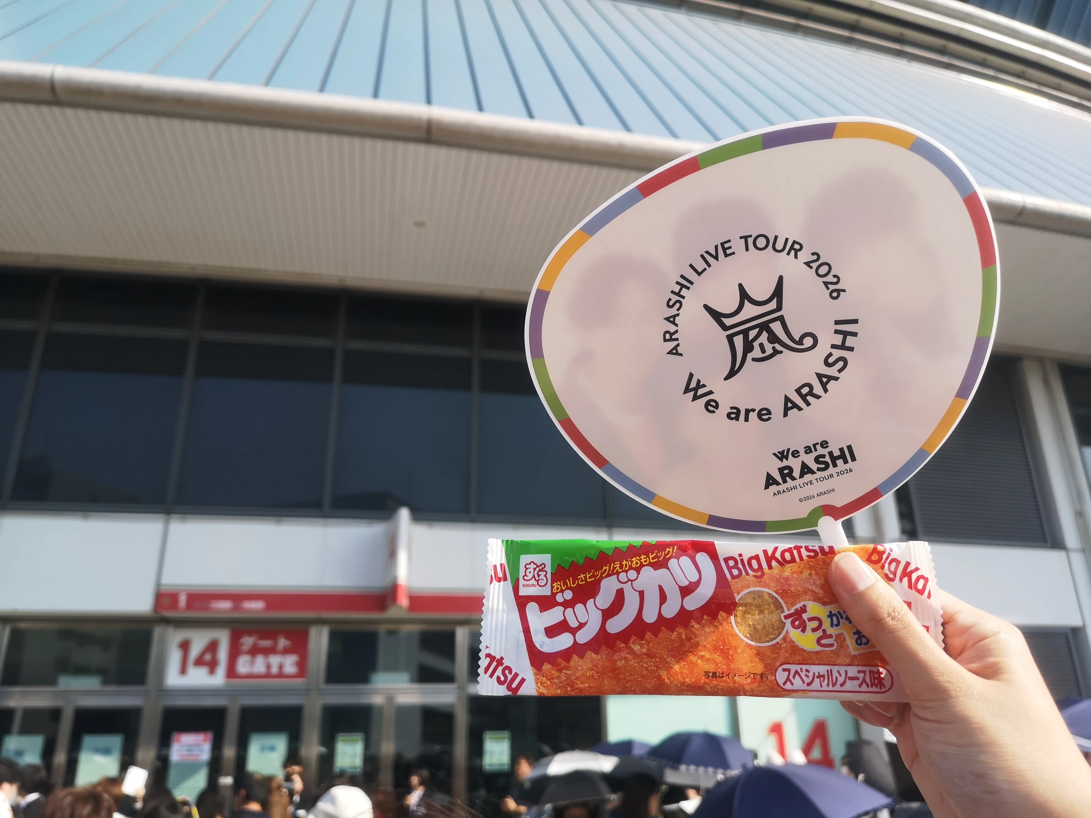 嵐ラストツアー密着取材していただいた話 ver.2【We are ARASHI
