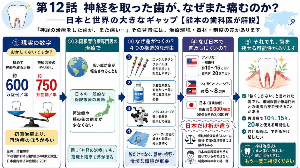 神経を取った歯が、なぜまた痛むんですか？＿日本と世界の大きな