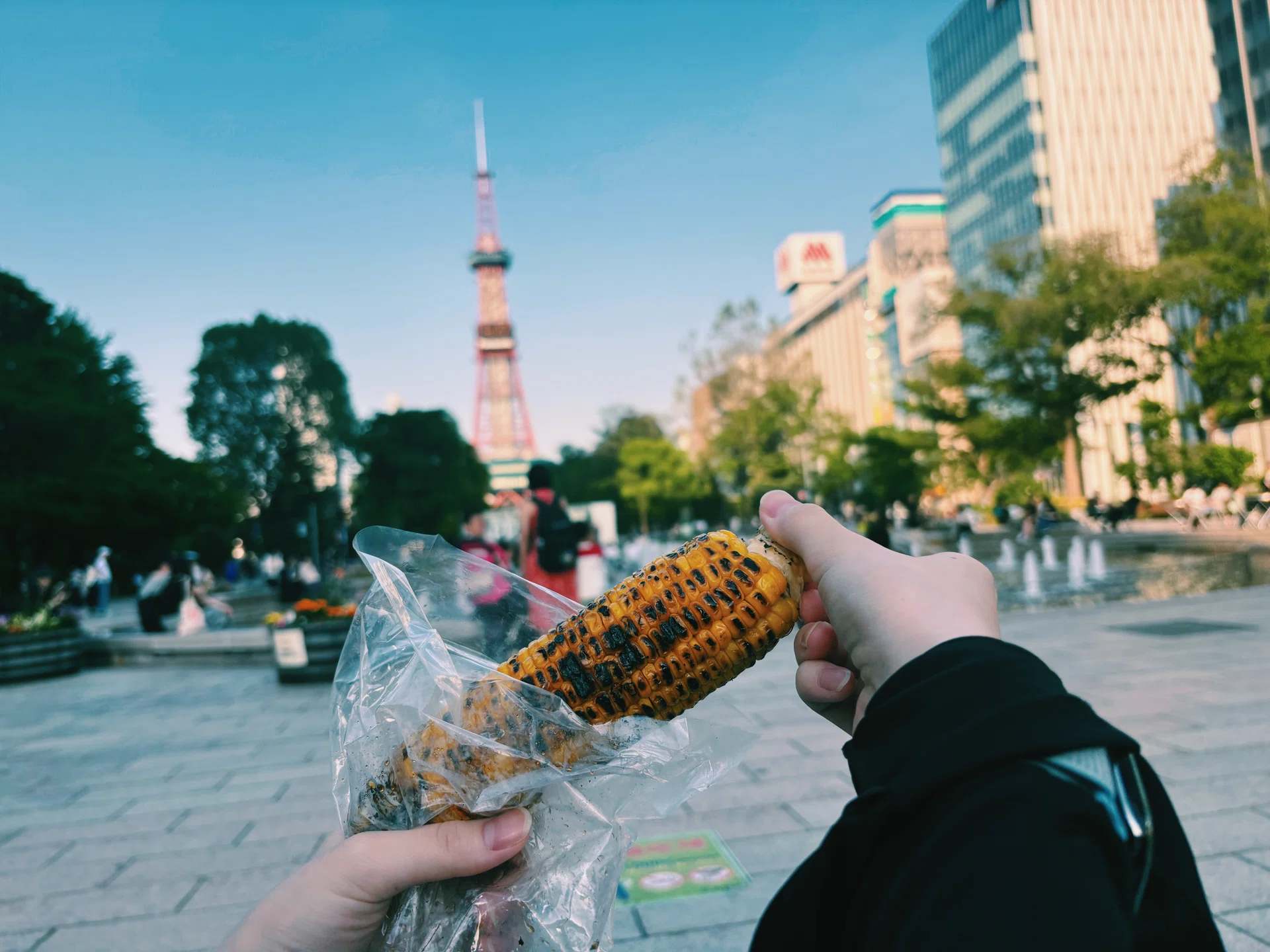 札幌、おさんぽ日和｜ゐゆ