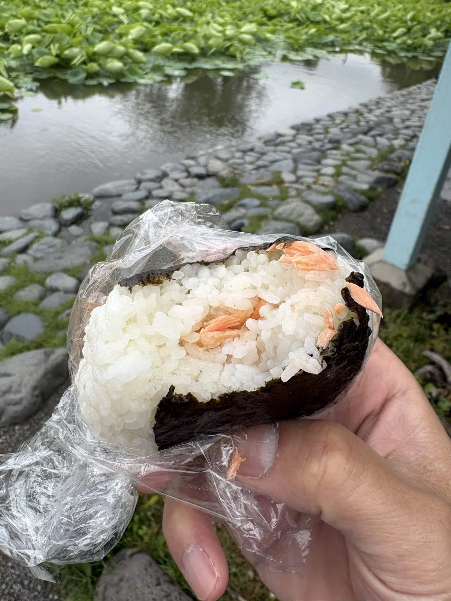 Searching for Early Morning Onigiri in Kamakura ① (Beep beep