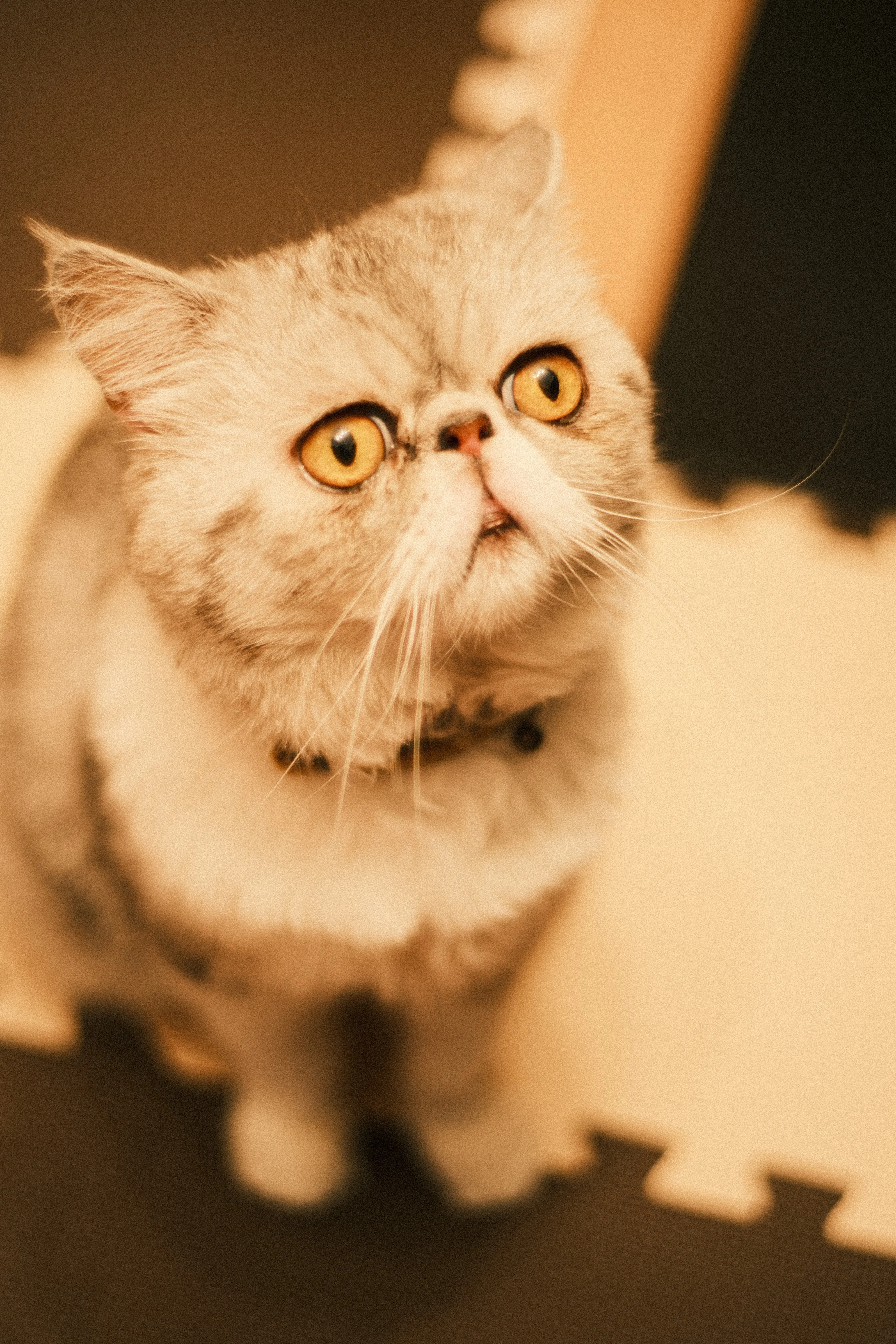 NOKTON classic 40mm F1.4 SC VM｜月曜休み。