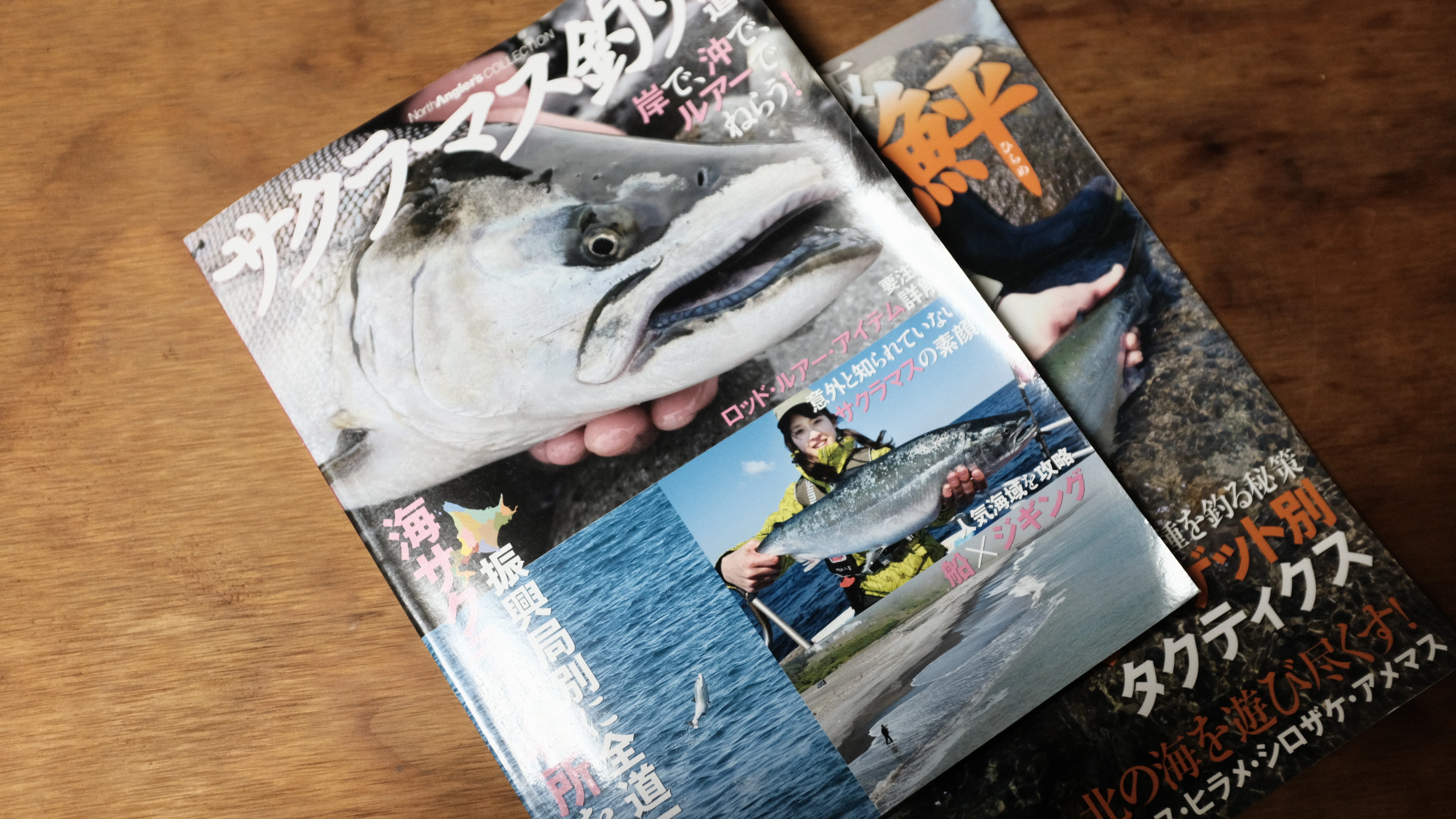 2026年サクラマス釣り総括【実釣編】｜Ujiii