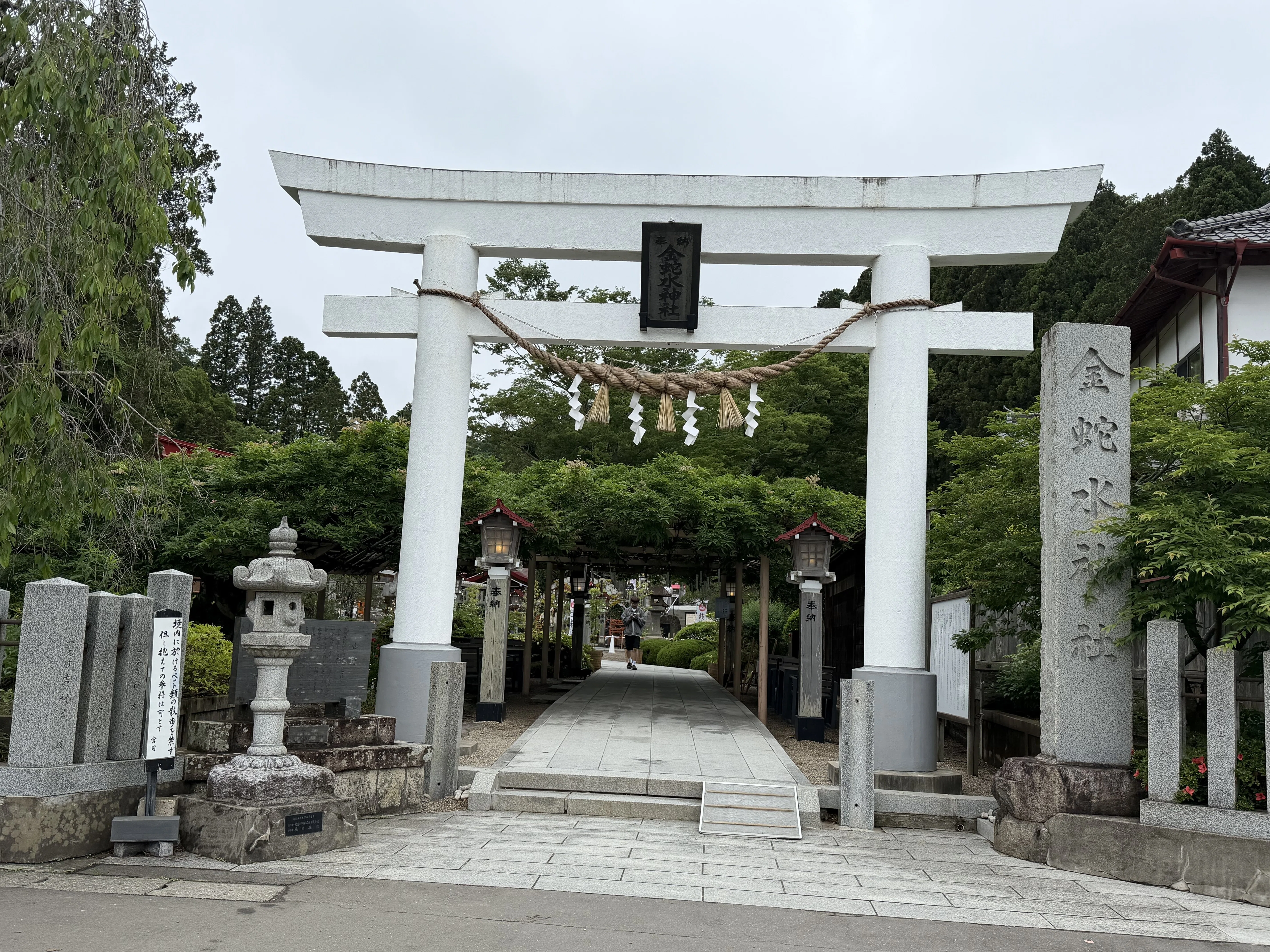 金蛇水神社 2026年6月｜村木藤志郎