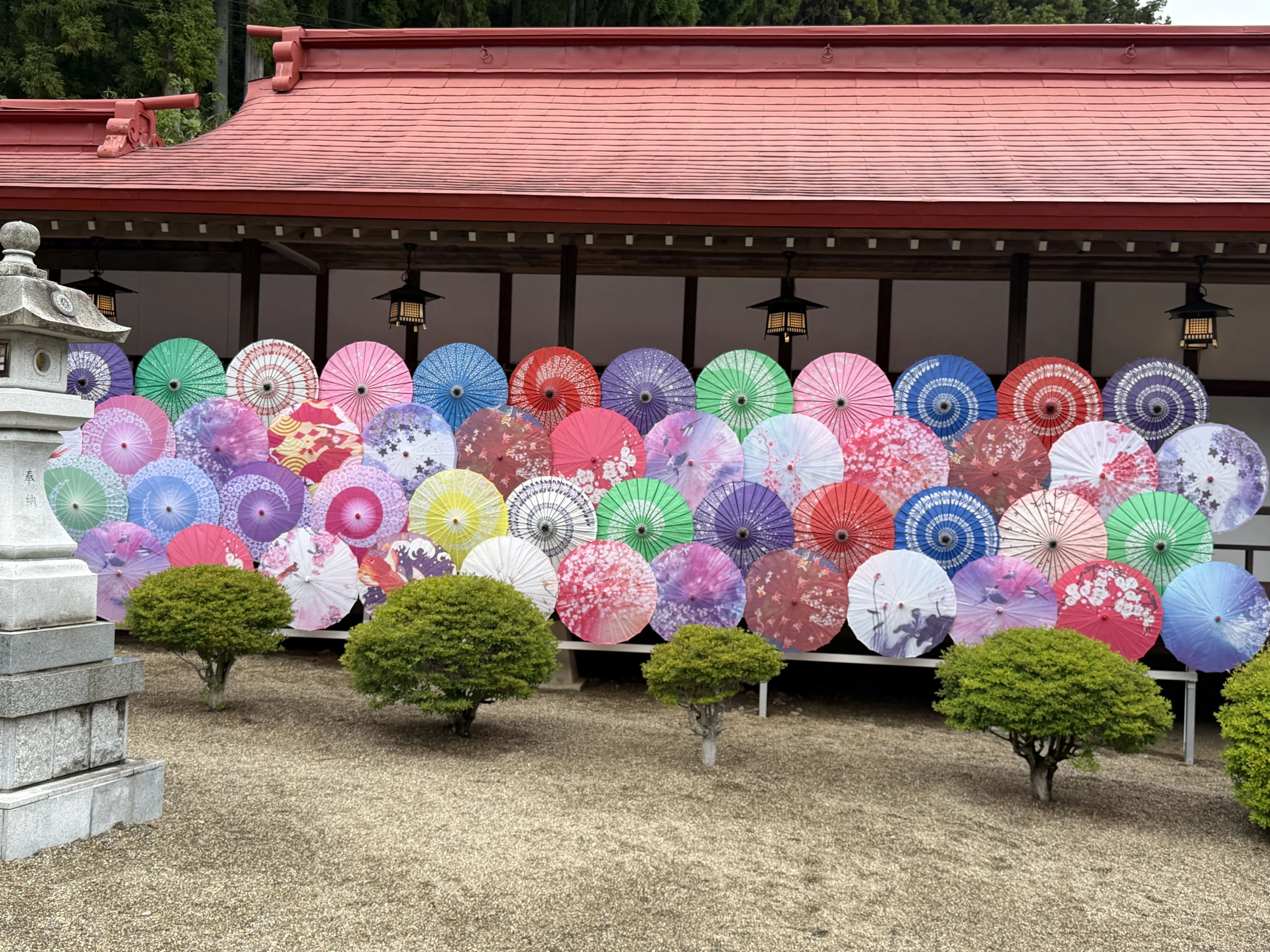 金蛇水神社 2026年6月｜村木藤志郎