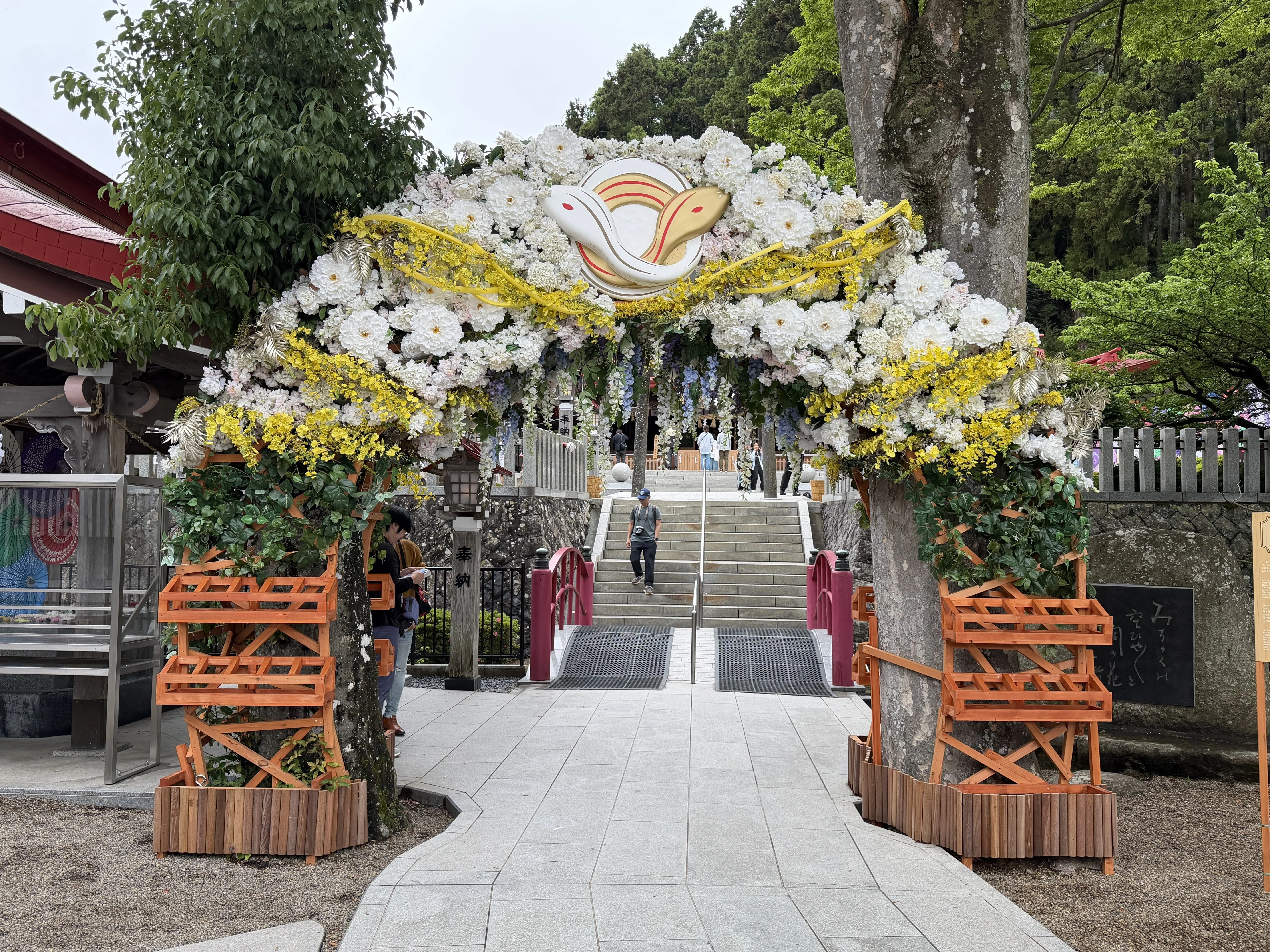 金蛇水神社 2026年6月｜村木藤志郎