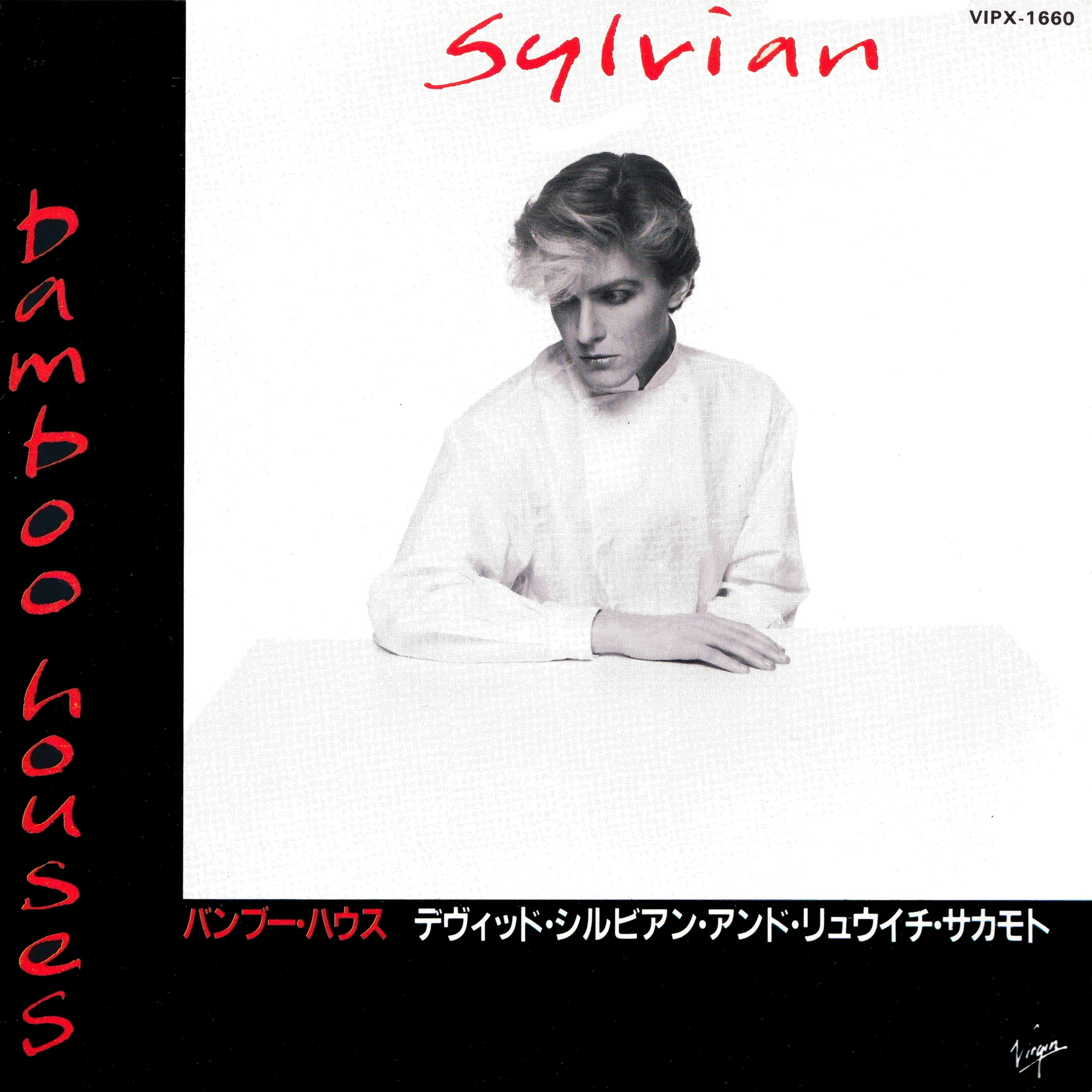 JAPAN関連 (David Sylvian, Dolphin Brothers, Ryuichi Sakamoto 