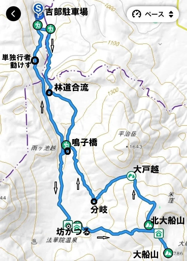 よっちゃんの山日記No1653ミヤマキリシマ鑑賞大船山｜させぼ山酔倶楽部