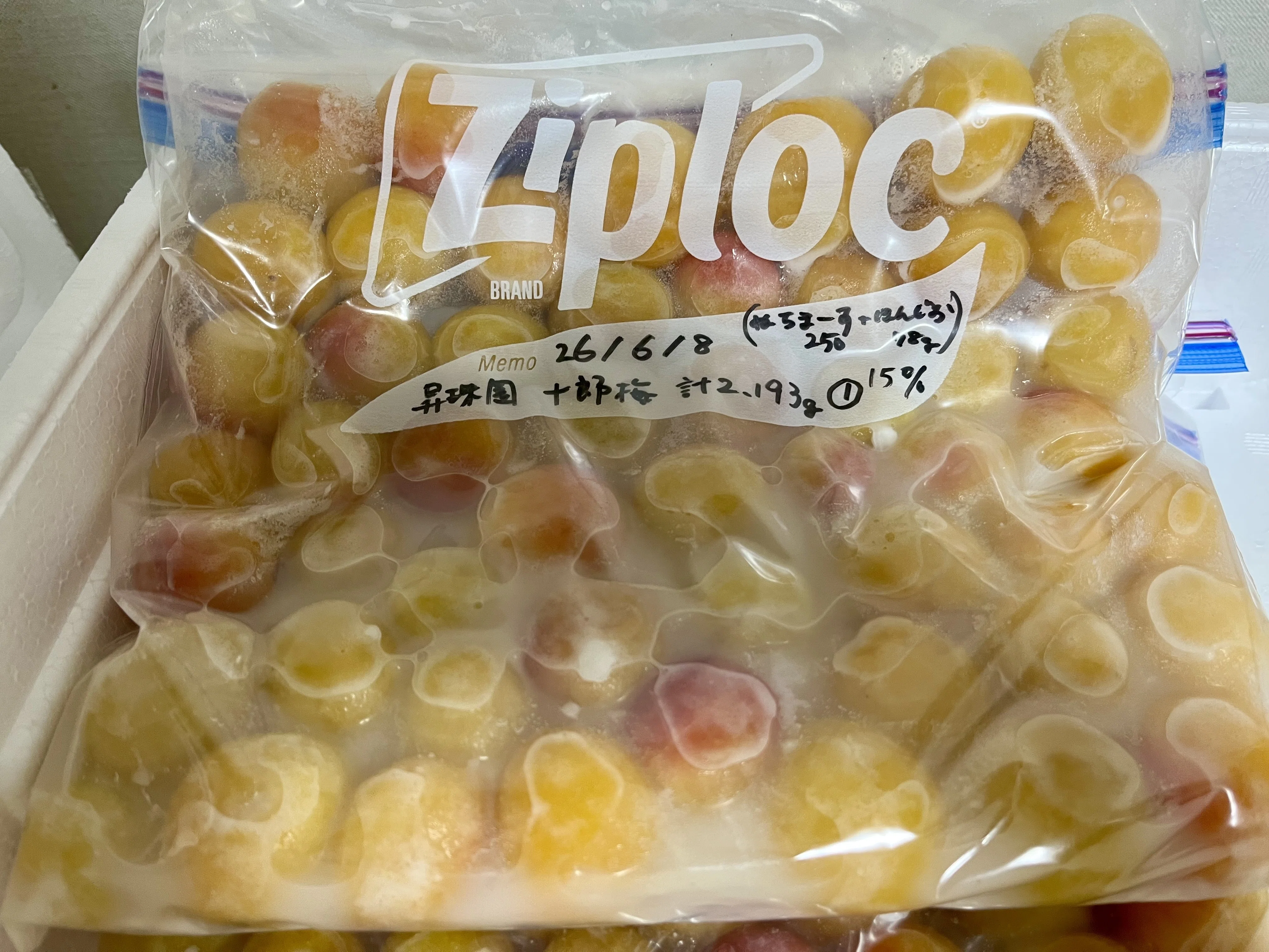 待ちわびた2年ぶりの生梅販売、曽我梅林「昇珠園」さんの十郎梅で
