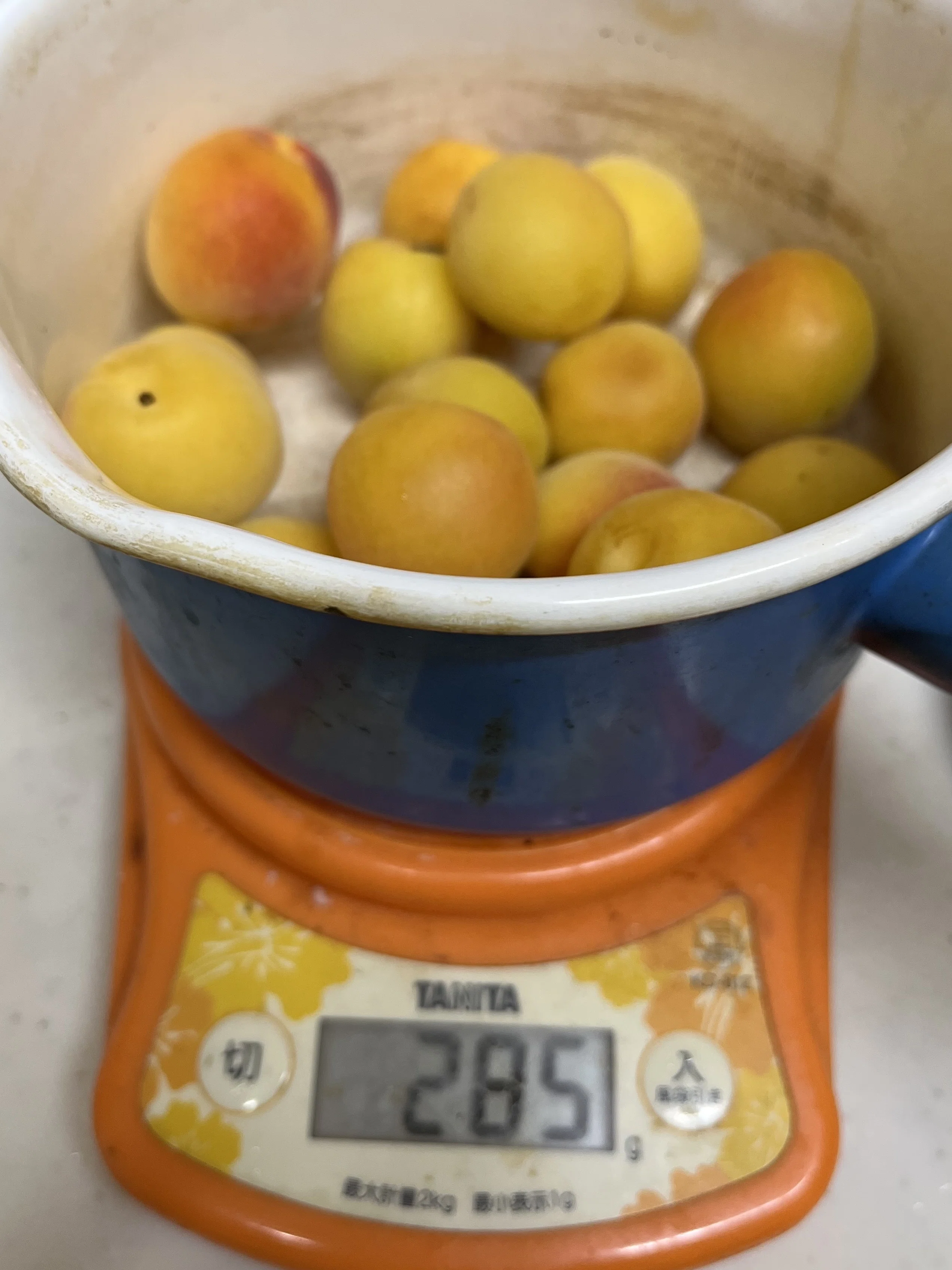 待ちわびた2年ぶりの生梅販売、曽我梅林「昇珠園」さんの十郎梅で
