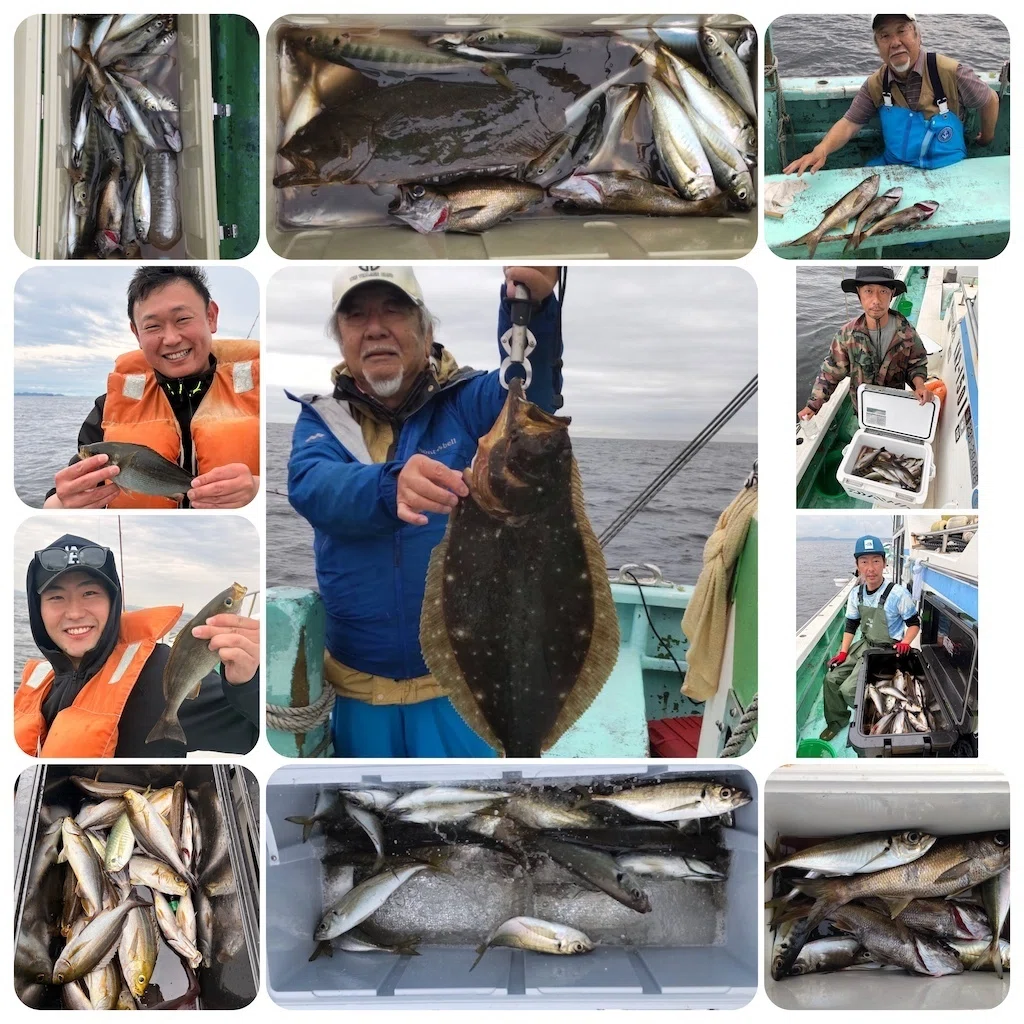 Live Bait] 3.5kg Flounder! [Grunt] Top 50 fish - many hits