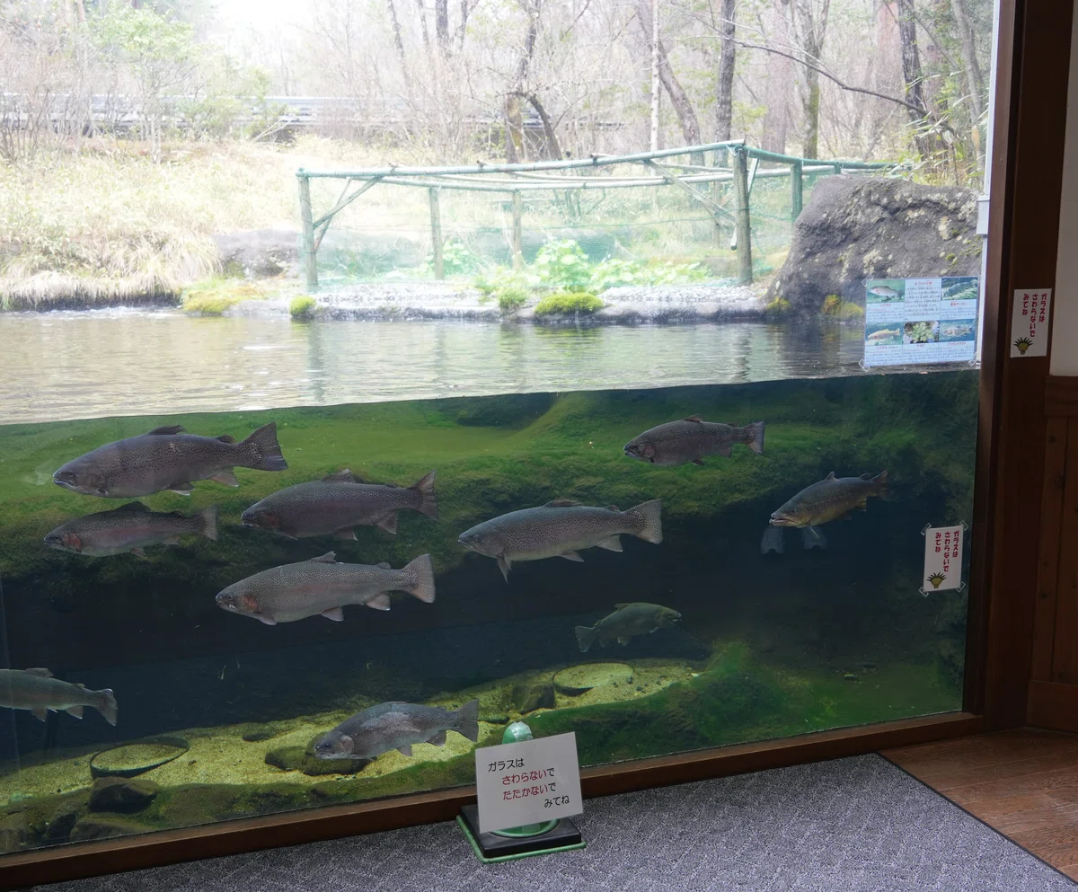 国営アルプスあづみの公園