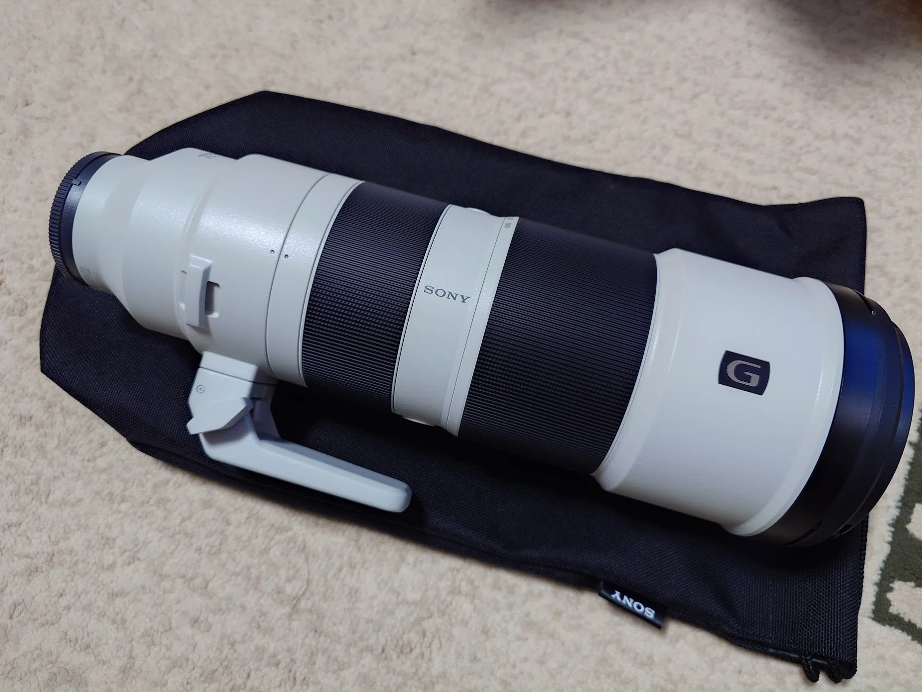α7ⅤにFE 200-600mm F5.6-6.3 G OSSを使って写真を撮る。｜すばる