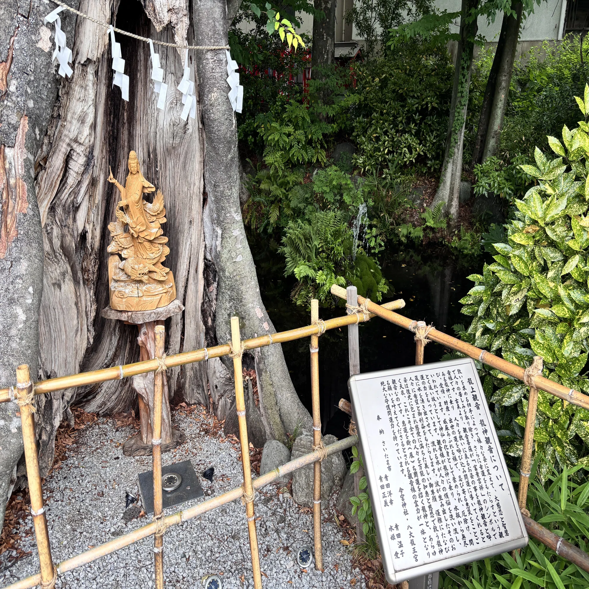 2026年5月 秩父札所めぐり② 〜秩父で巡る四国八十八箇所〜｜ダブー氏