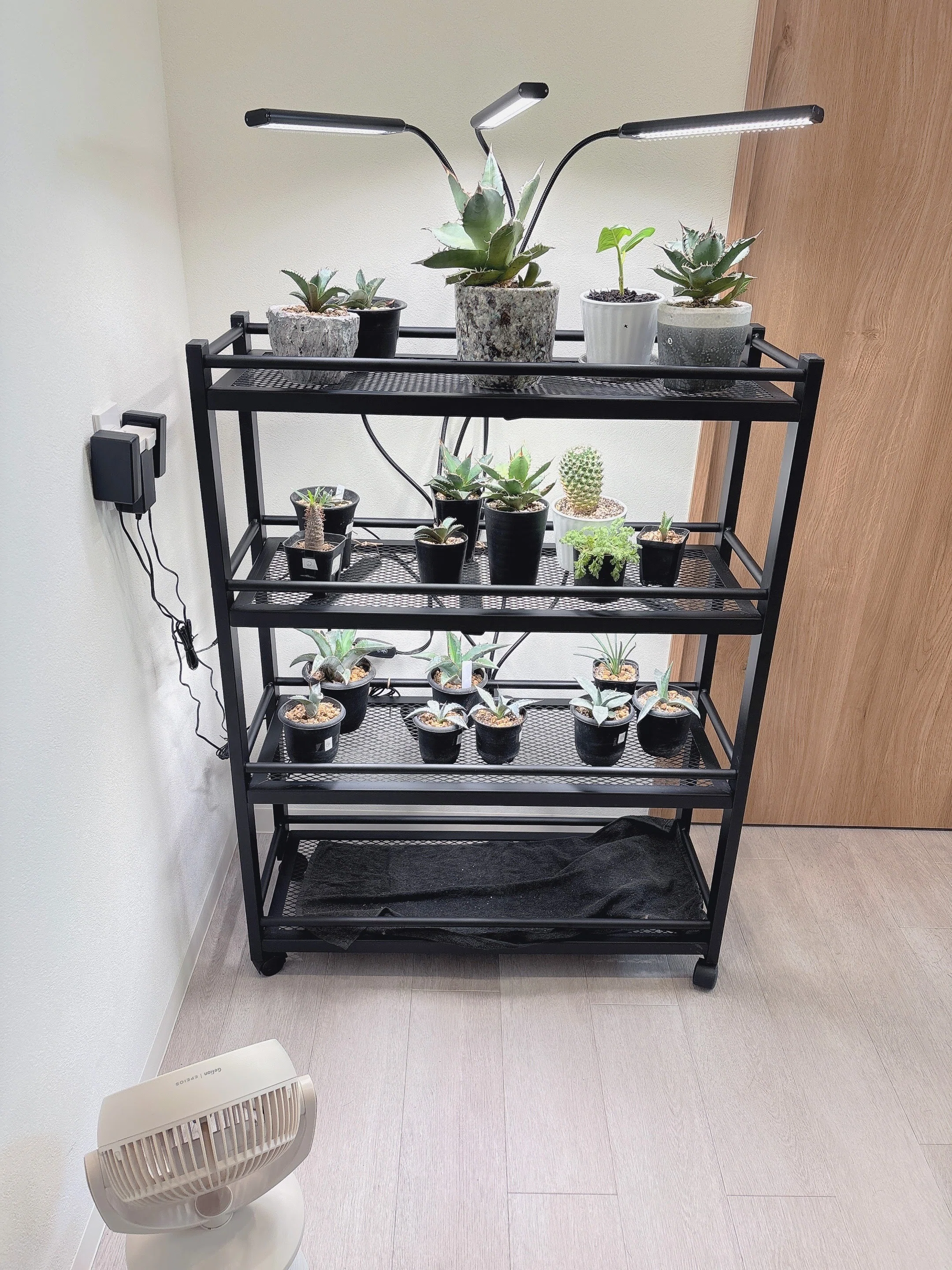趣味 ︳植物棚が崩壊した日｜ la.neche ラネーシェ | 高松市の