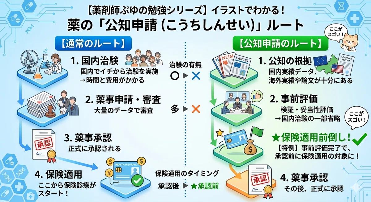 【薬剤師ぷゆの勉強💊】5分でわかる!「公知申請」の仕組みと現場へのメリット|薬剤師ぷゆ(薬局勤務・家計・資産形成)