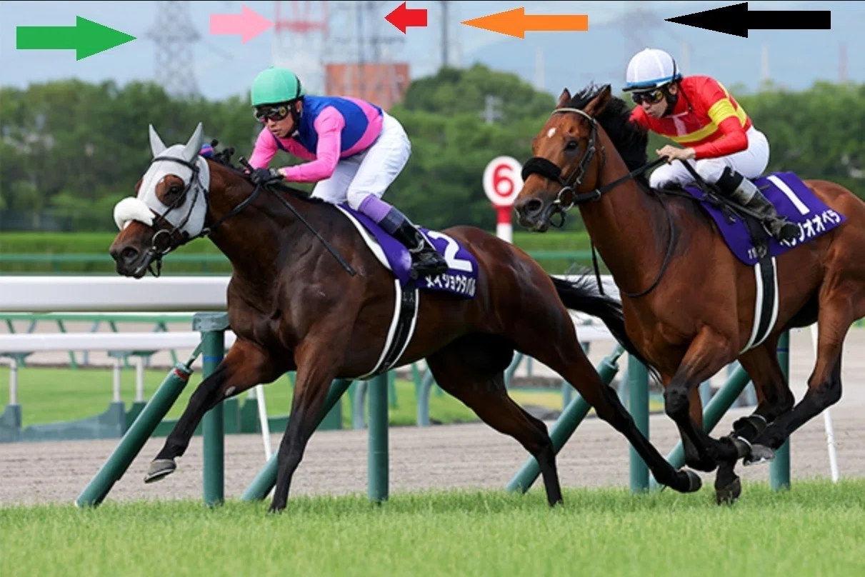 宝塚記念2026 グラフィックサイン馬券Part2｜お久しぶりの画像からの