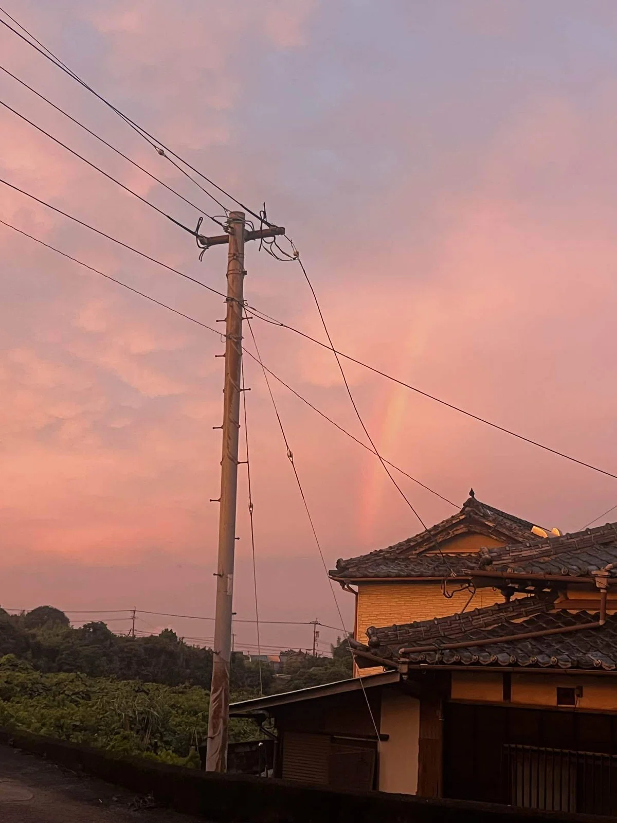 梅雨真っ只中。｜本多めぐみ
