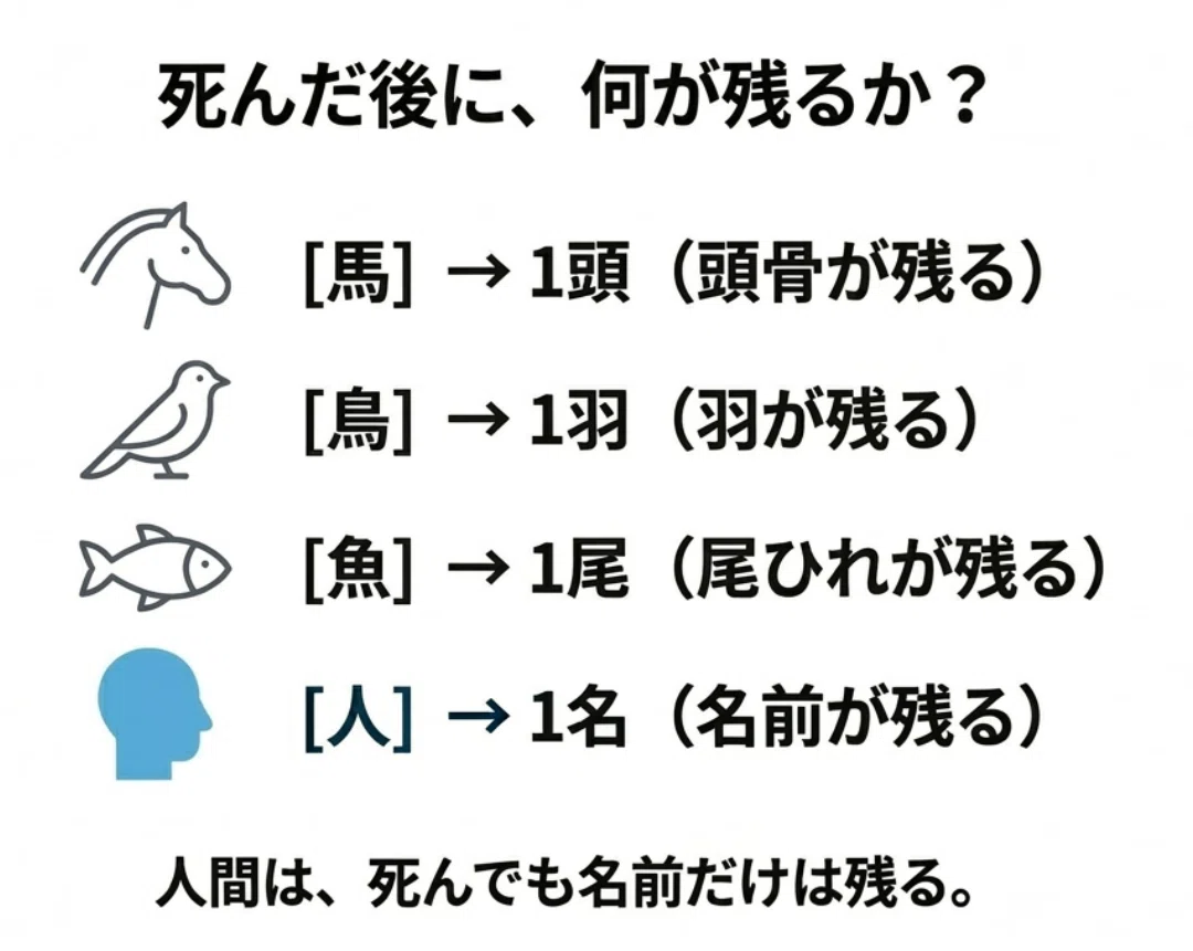 馬 の 数え 方