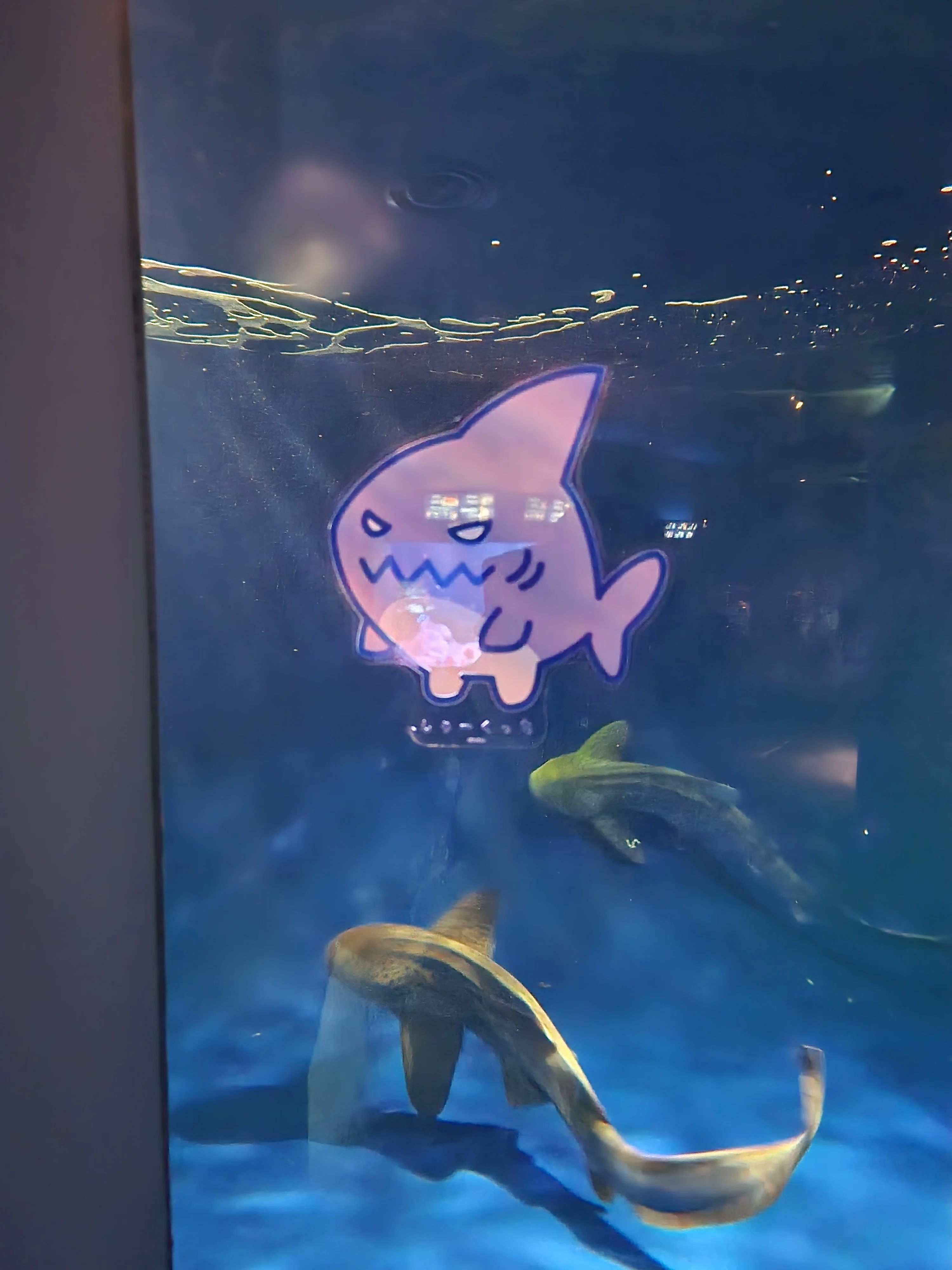 えのすいで発見!!たまごっちと海のなかまたち!』へ行ってきた…🐬🥚｜ひ