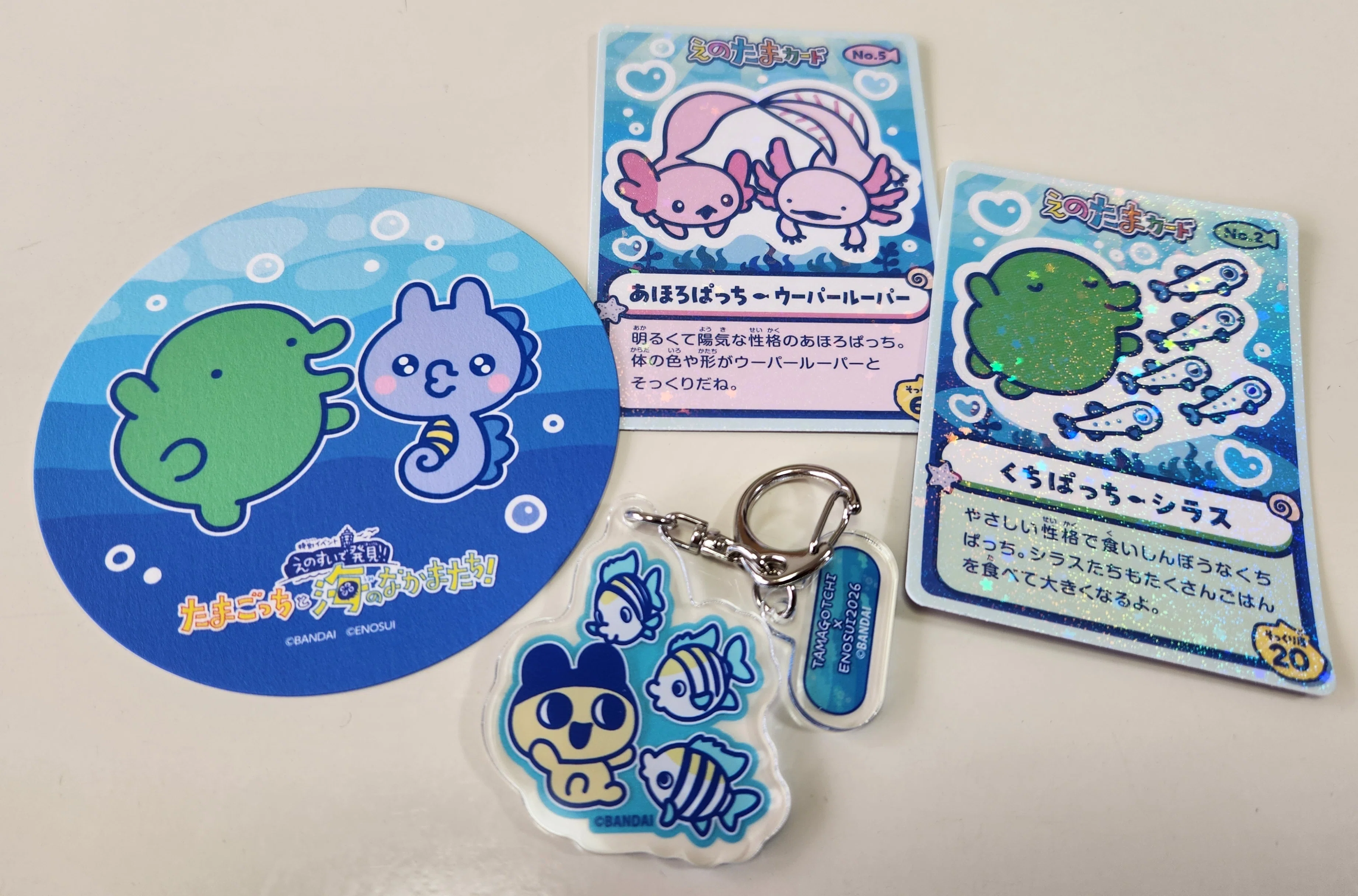 えのすいで発見!!たまごっちと海のなかまたち!』へ行ってきた…🐬🥚｜ひ