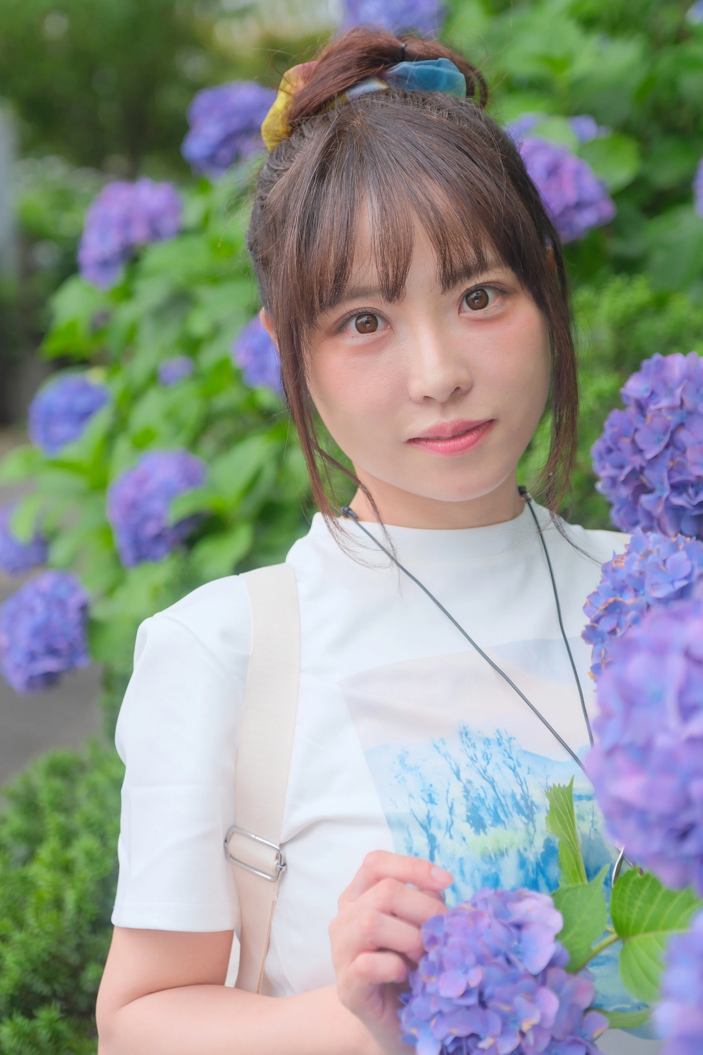 【本日写真更新値上げ】エボリスピナ 陽炎 コレクション株③ 日下部ほたるさま （X: @hotaru_kusakabe ） 紫陽花ポートレート③