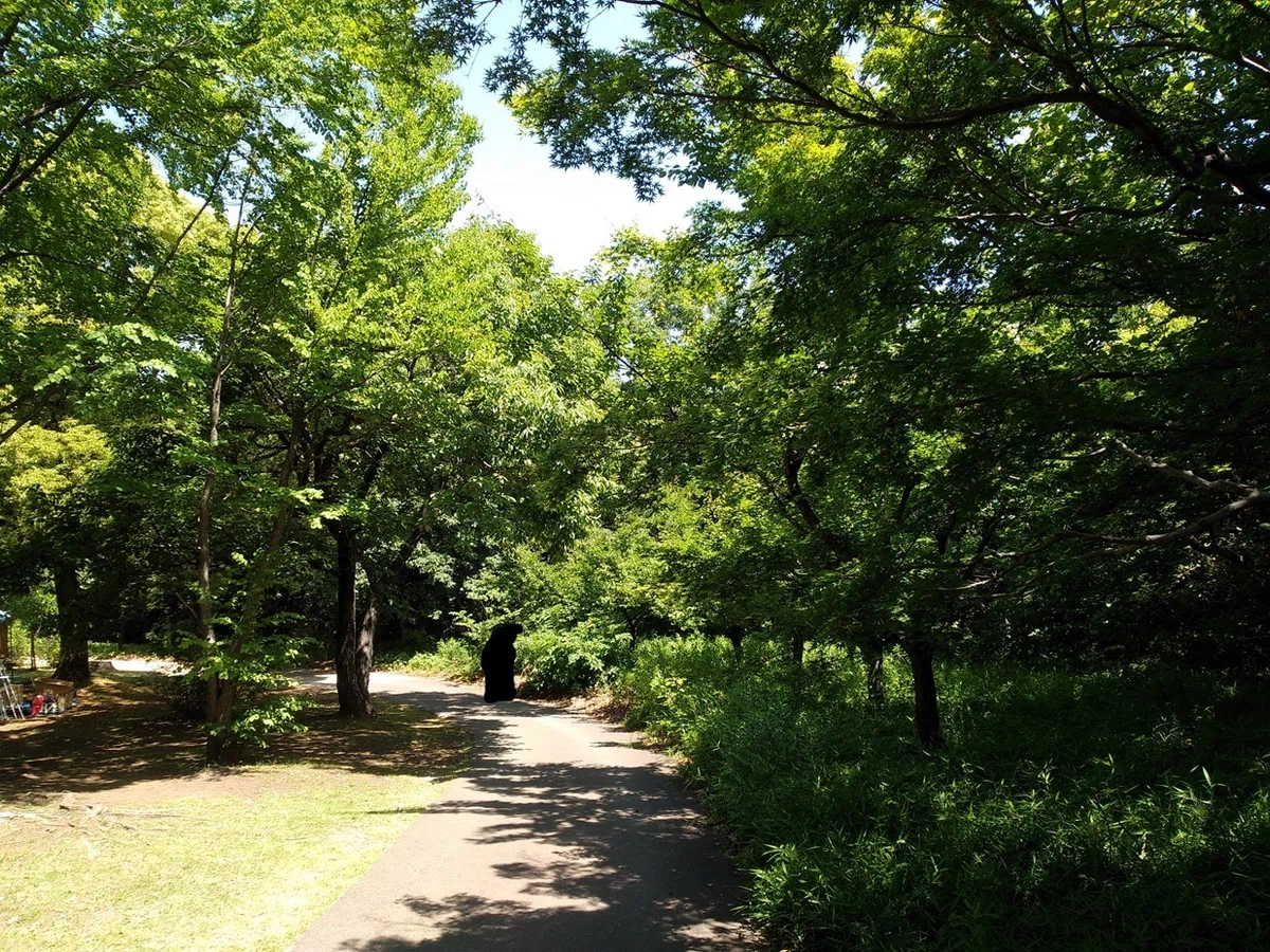 画像