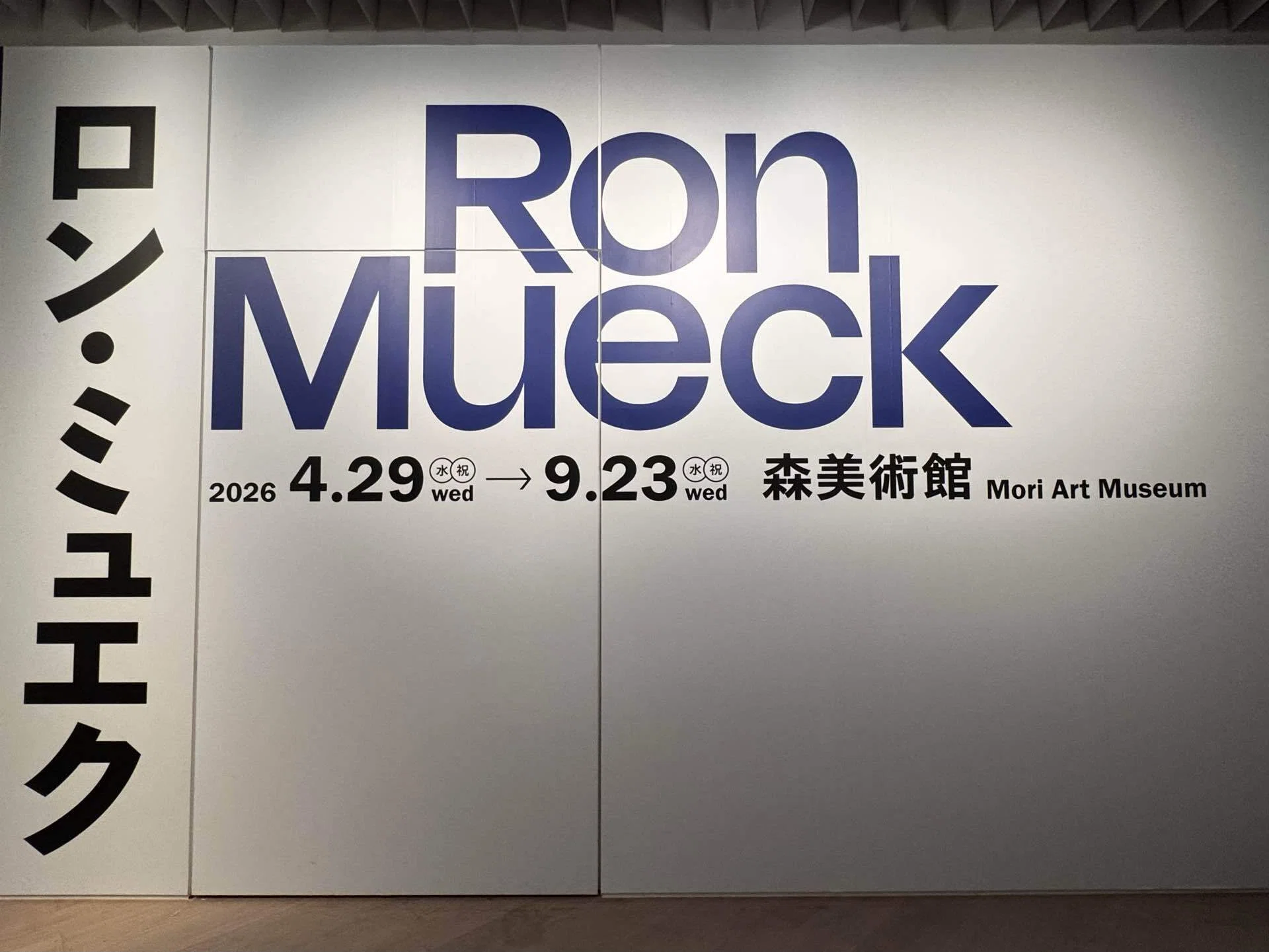 備忘録】ロン・ミュエク展（2026/6/6） ｜呑酸