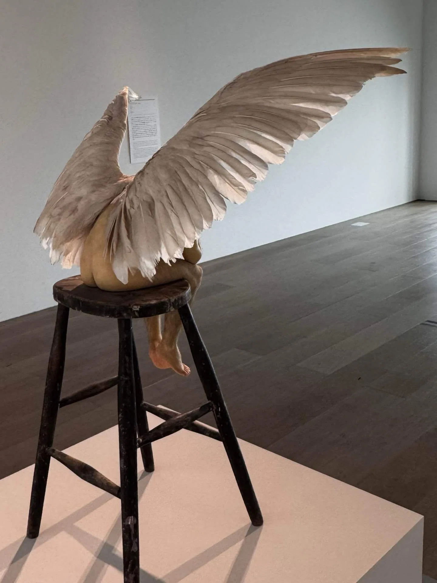 備忘録】ロン・ミュエク展（2026/6/6） ｜呑酸
