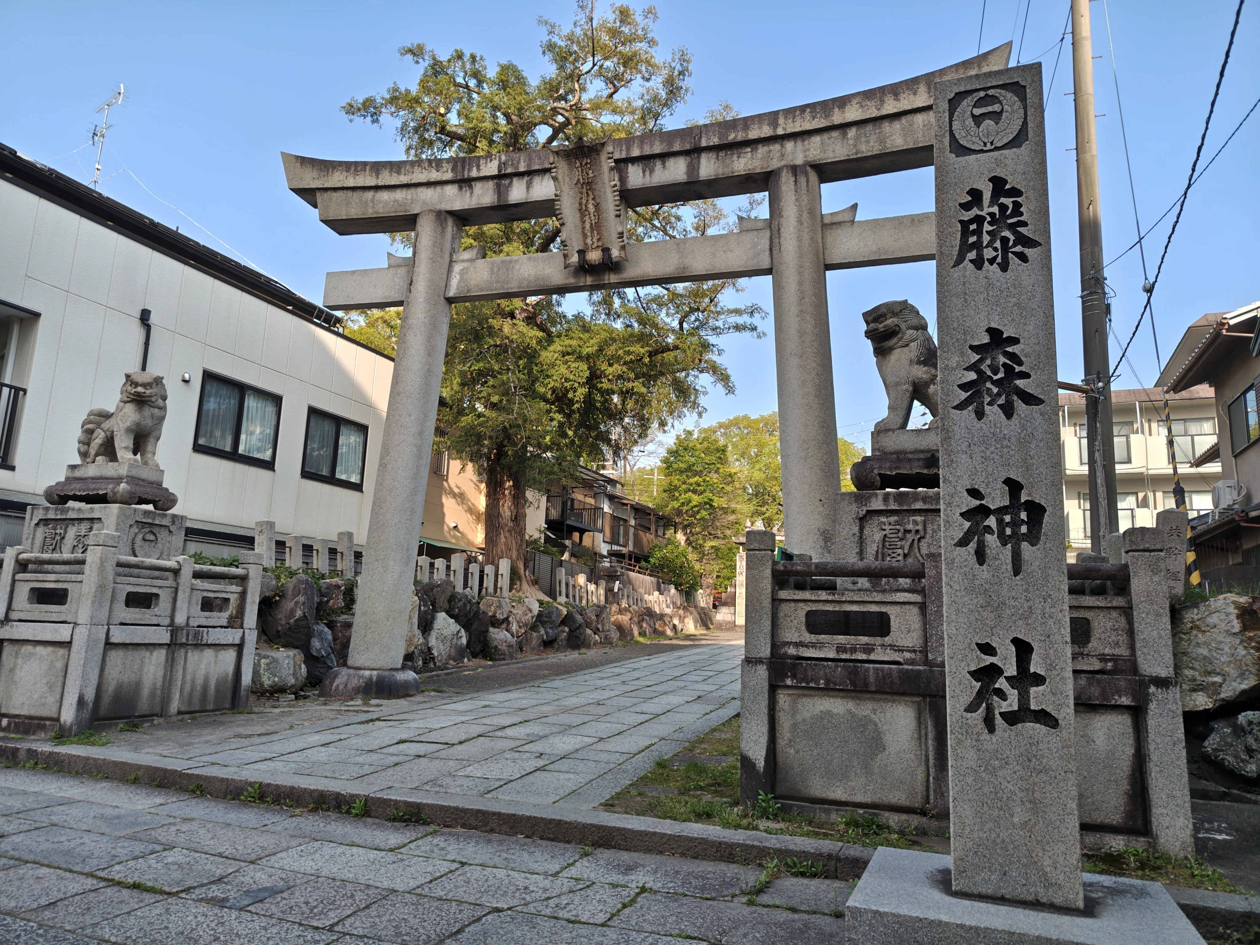 馬の神様】京都伏見の「藤森神社」｜小春