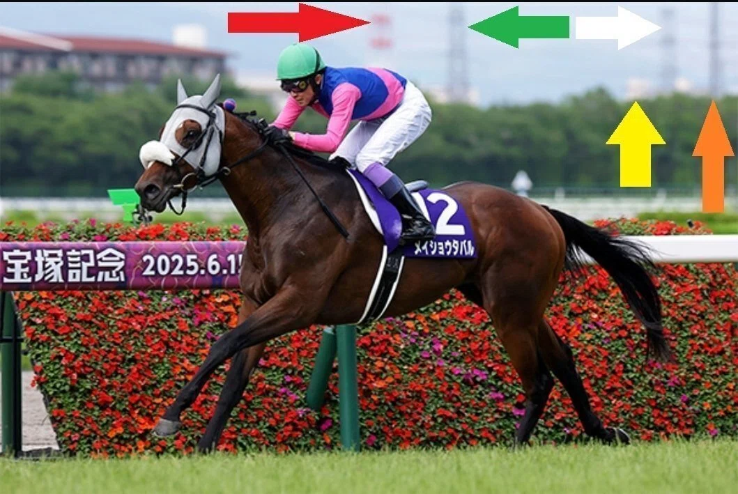 宝塚記念2026 サイン馬券Part3｜画像に写っている企業のイメージカラー
