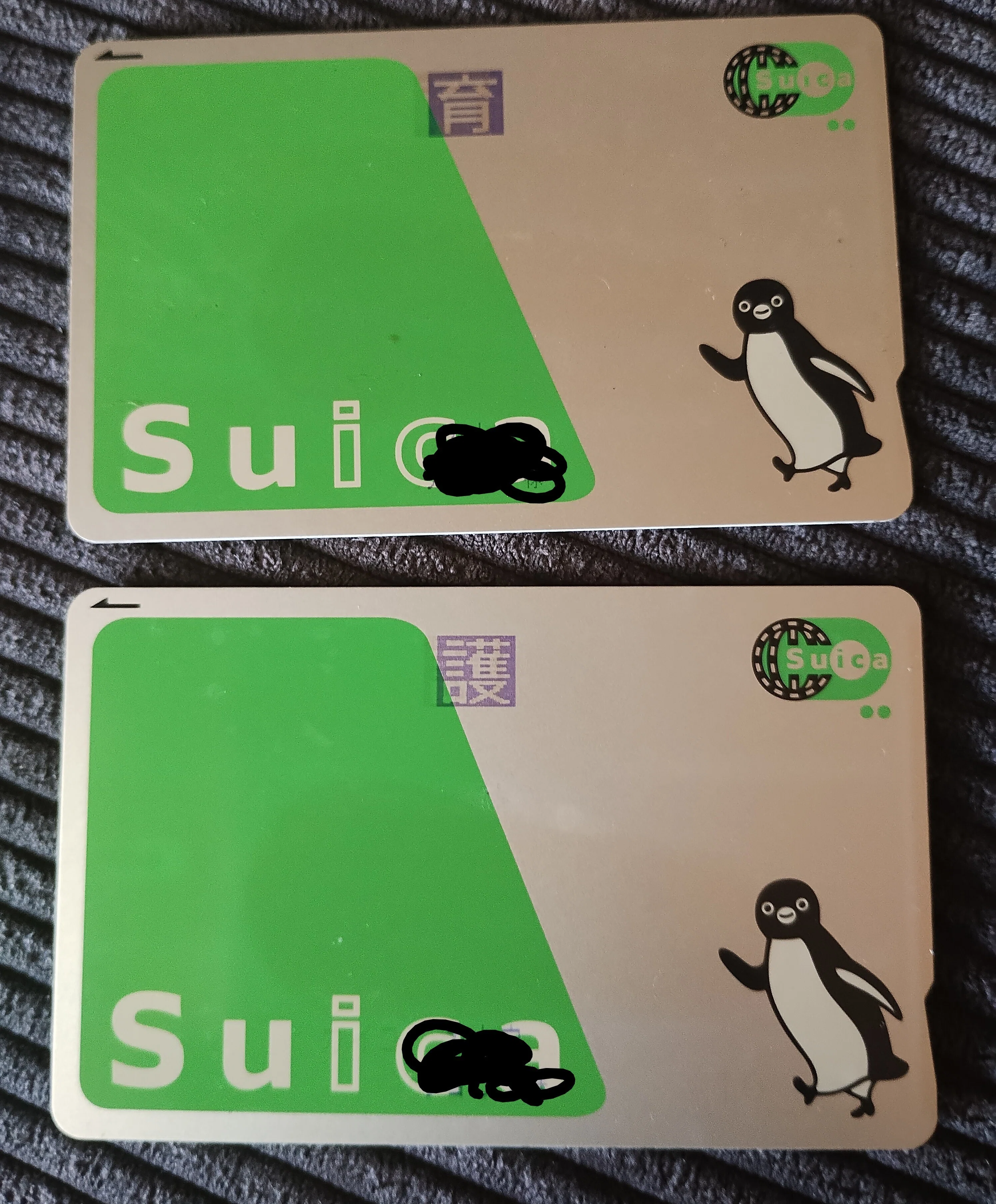 お出かけが劇的に楽に！親子でスムーズに通れる『障害者用Suica』を