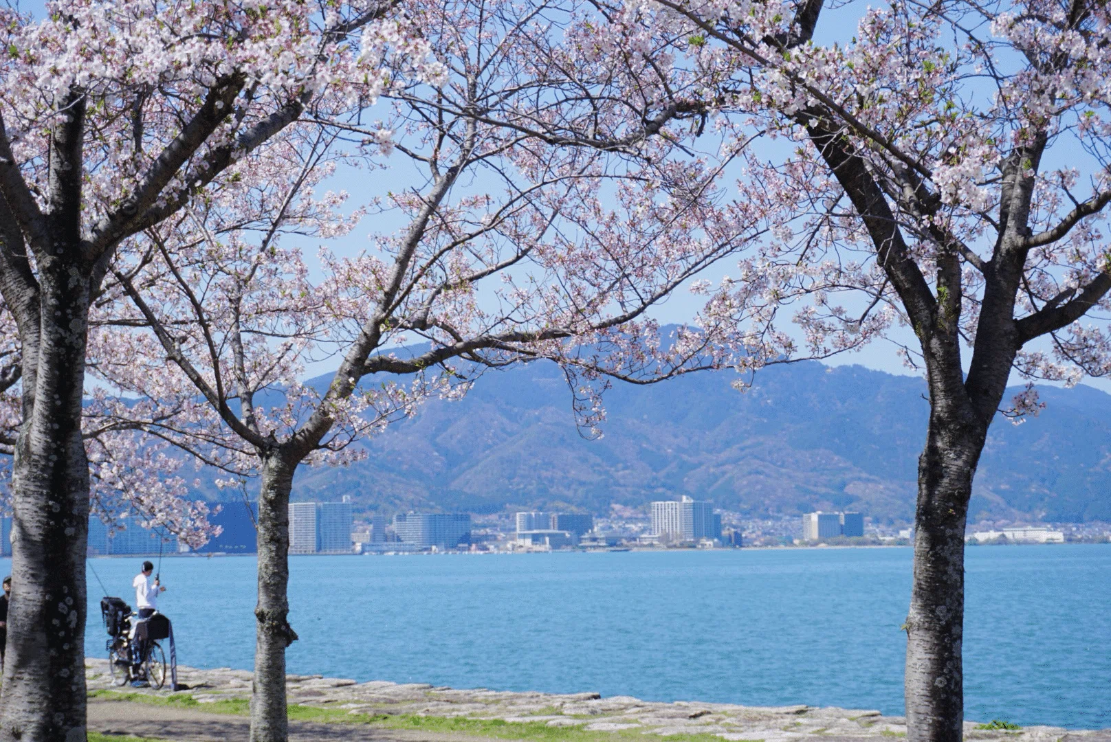 青の世界を求めて。琵琶湖畔での過ごし方｜misaki｜散歩日和